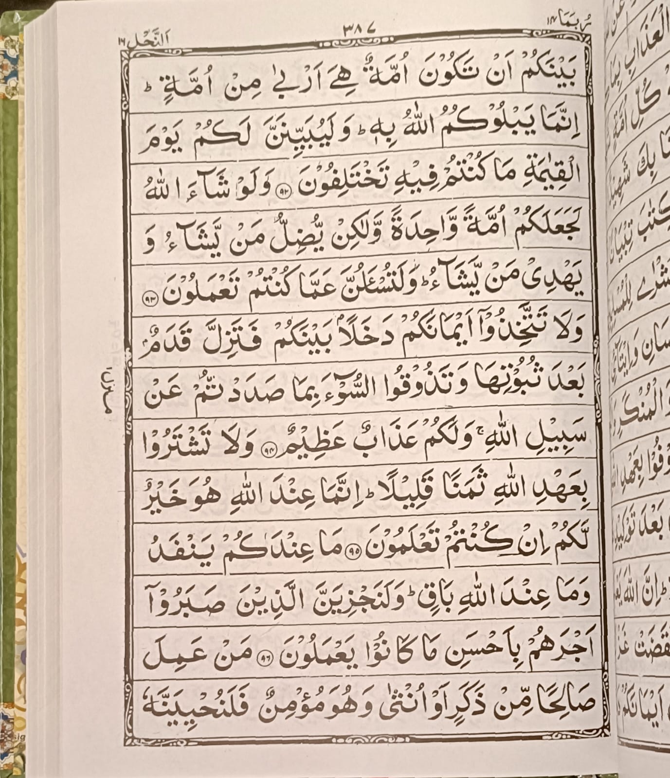 Quran No. 3 Oil Paper (13 lines)