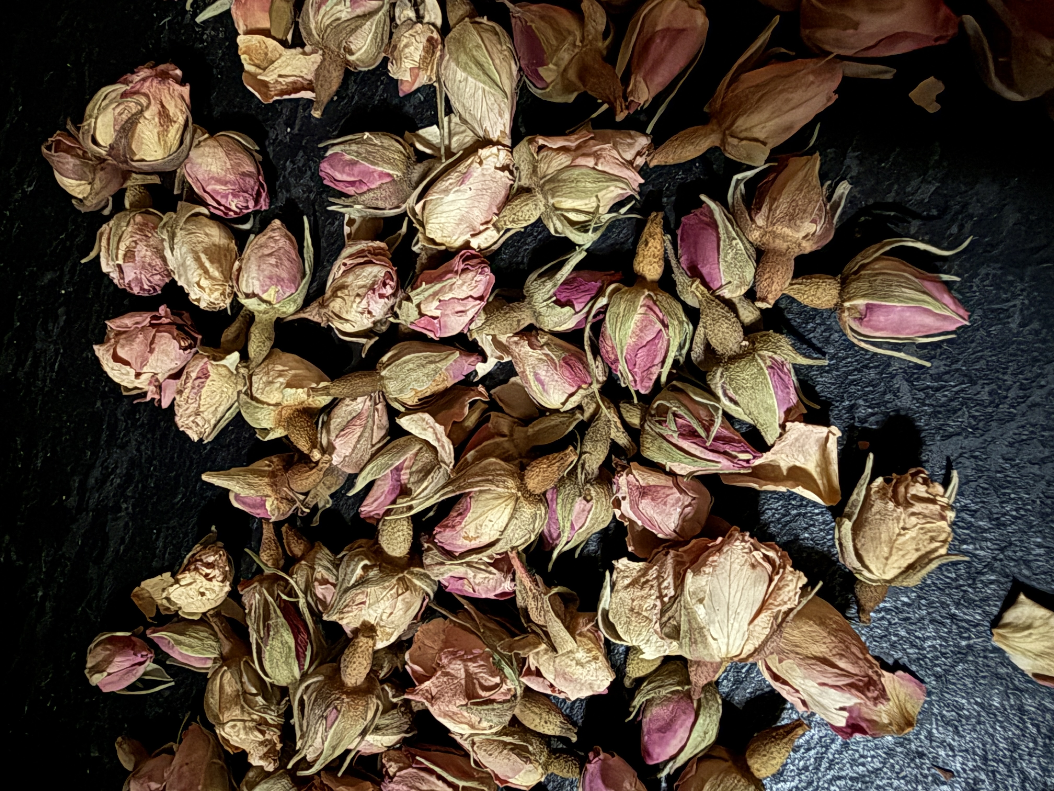 Rose Buds
