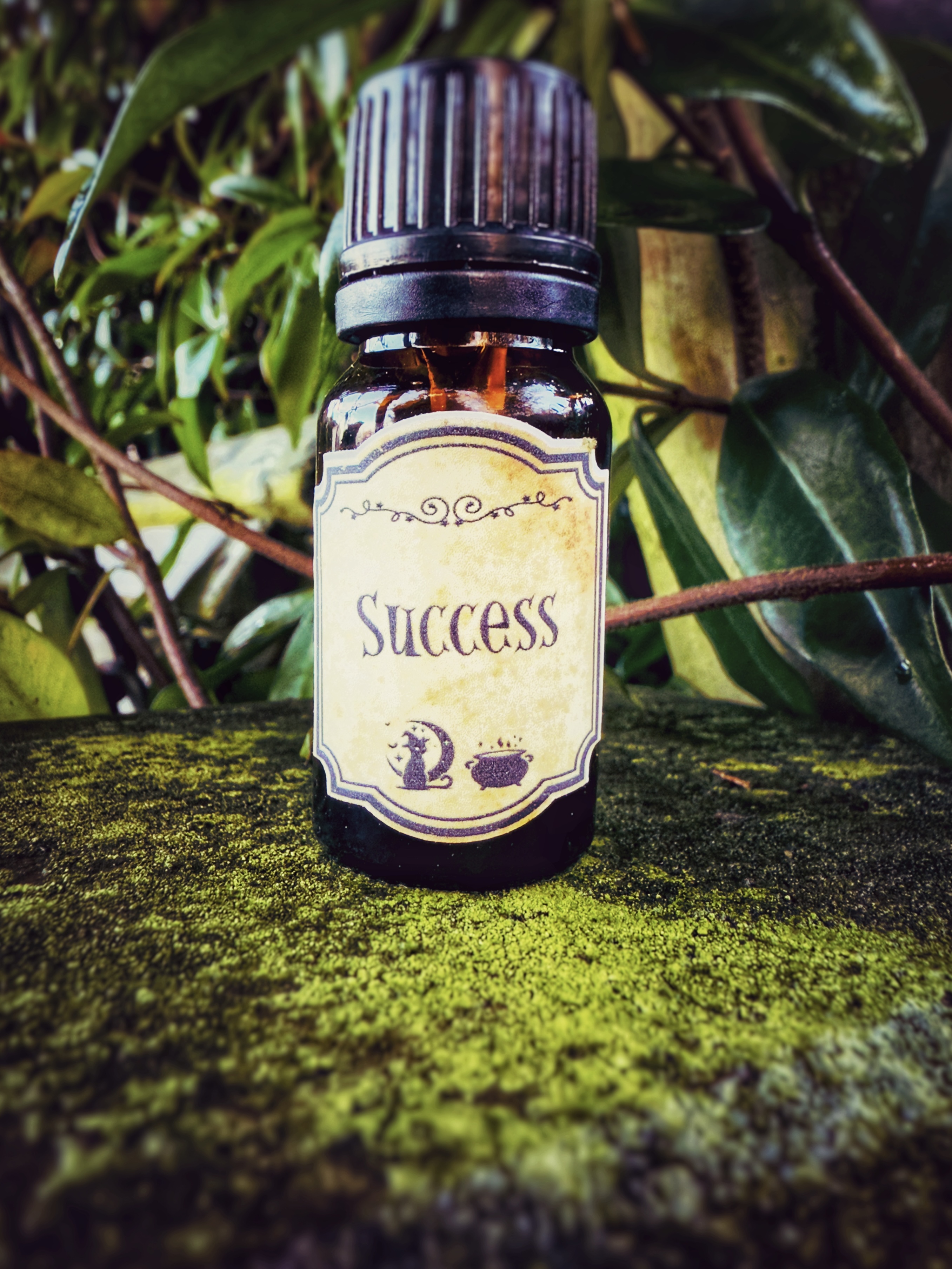 Success Oil