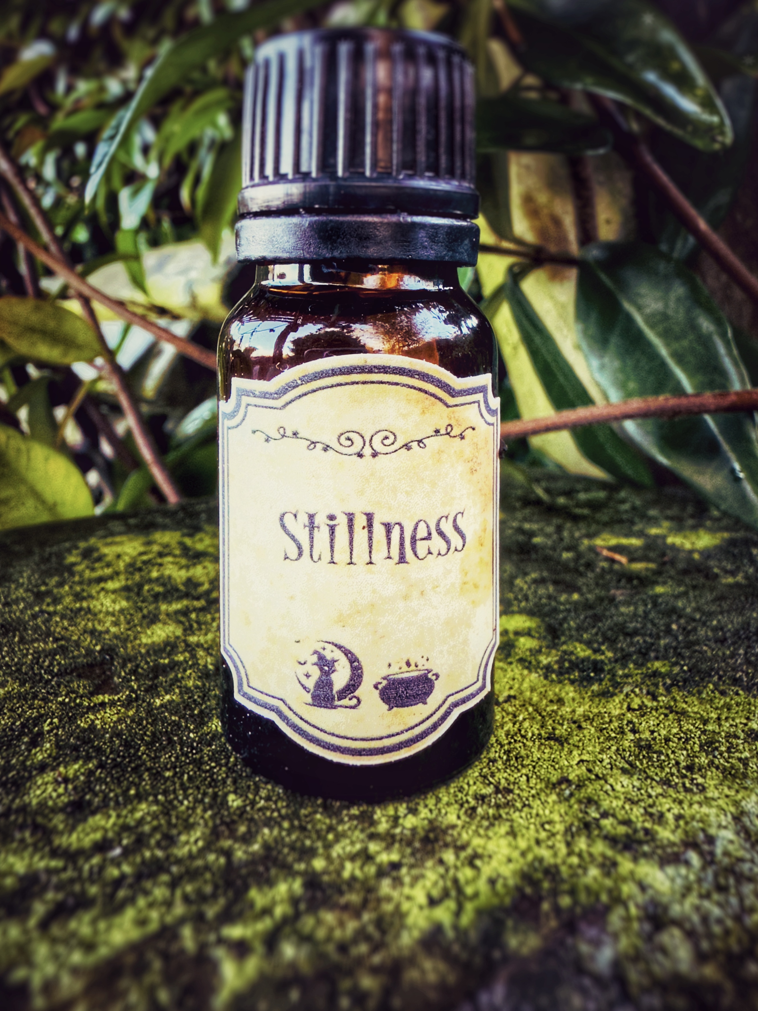 Stillness Oil