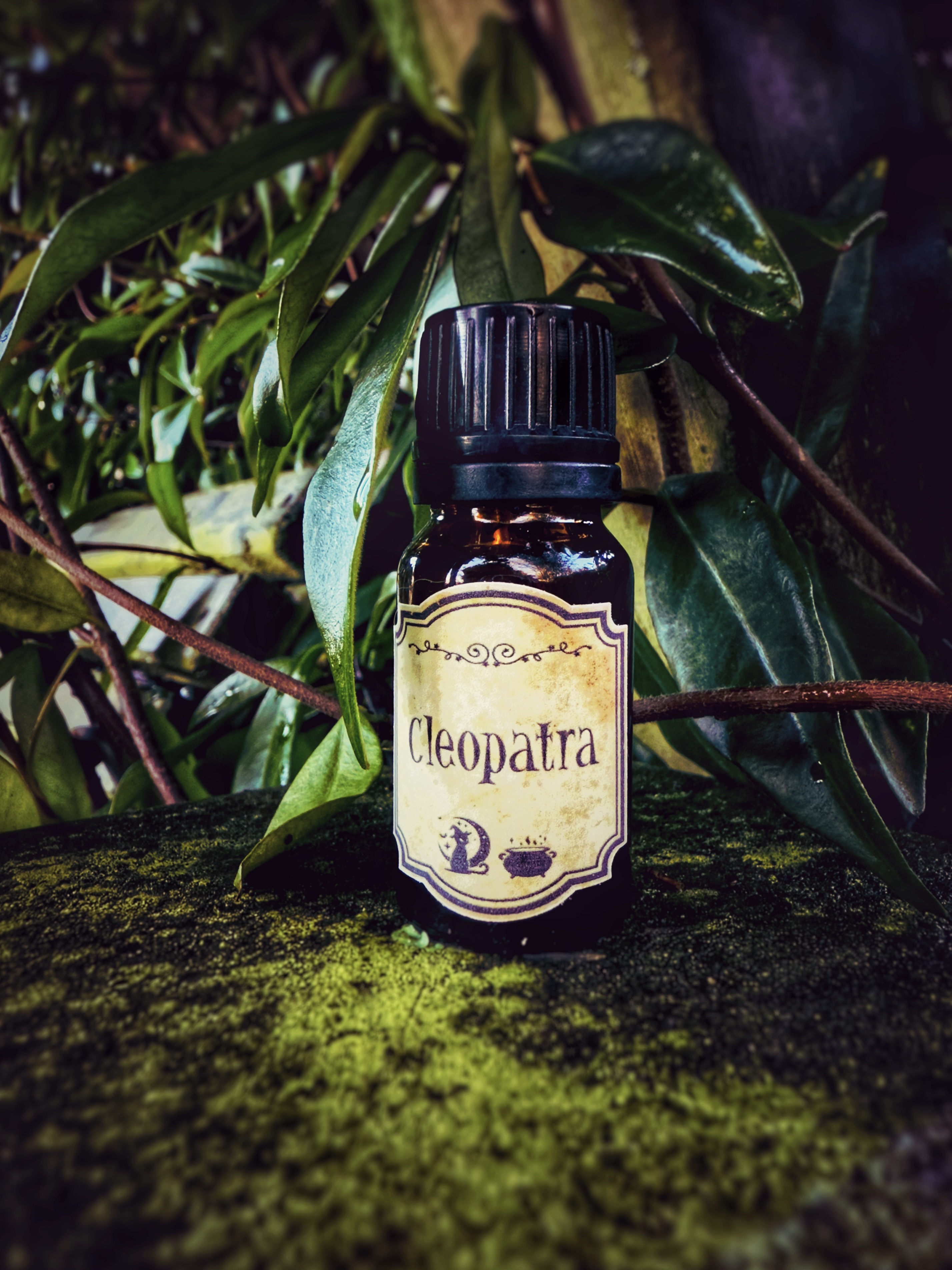 Cleopatra Oil