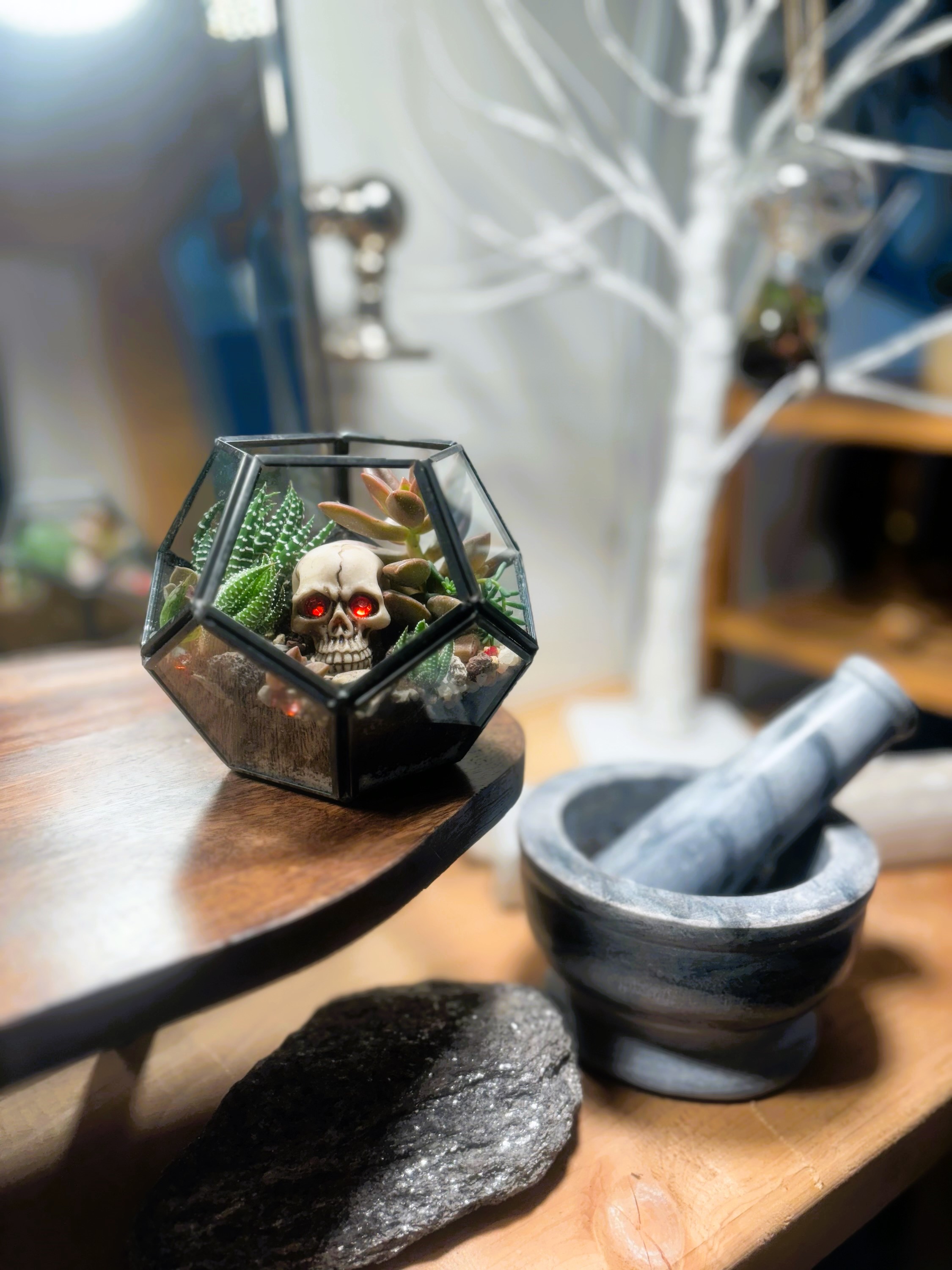 Open Terrariums & Succulents