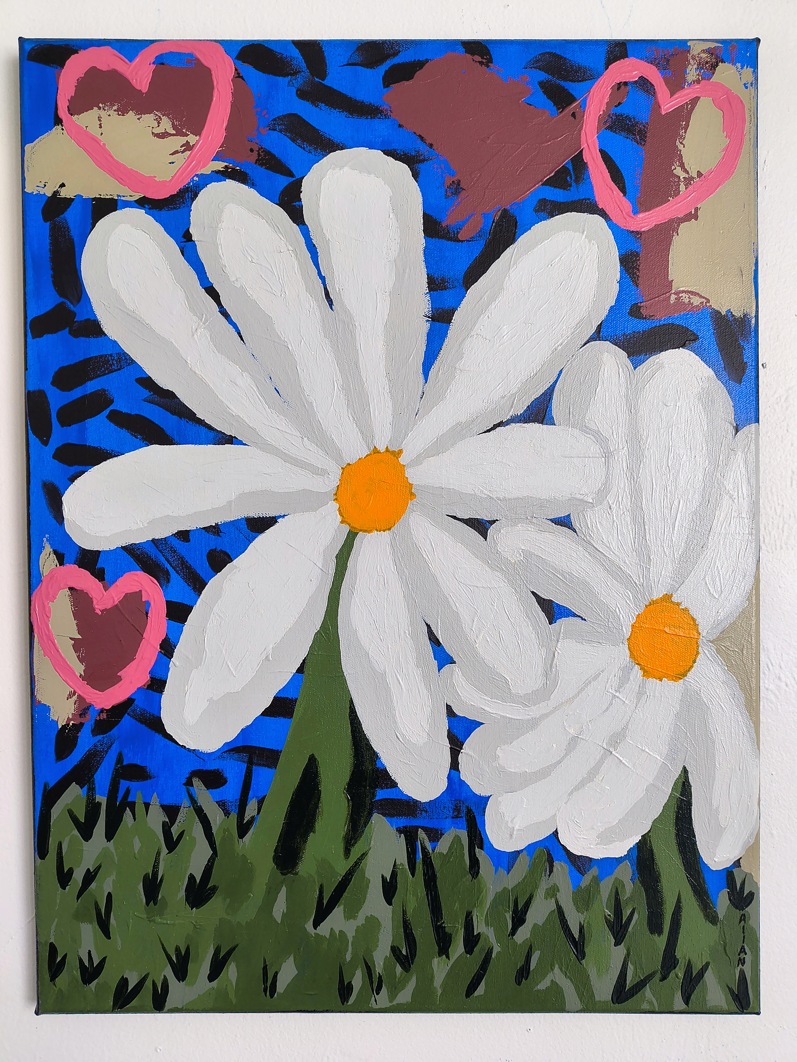 Alejandra's daisy flowers