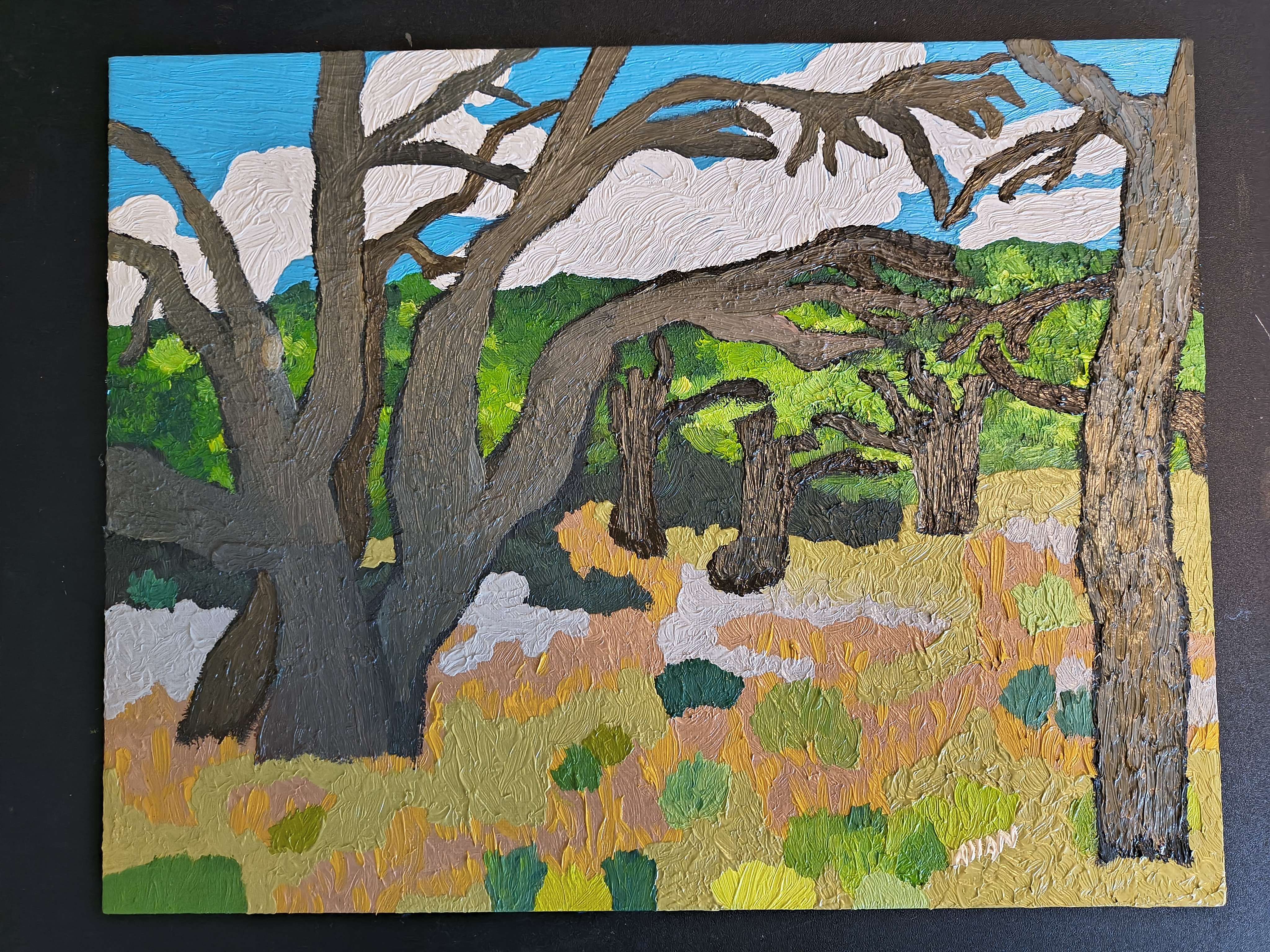 Outskirts of Natural Bridge Caverns 