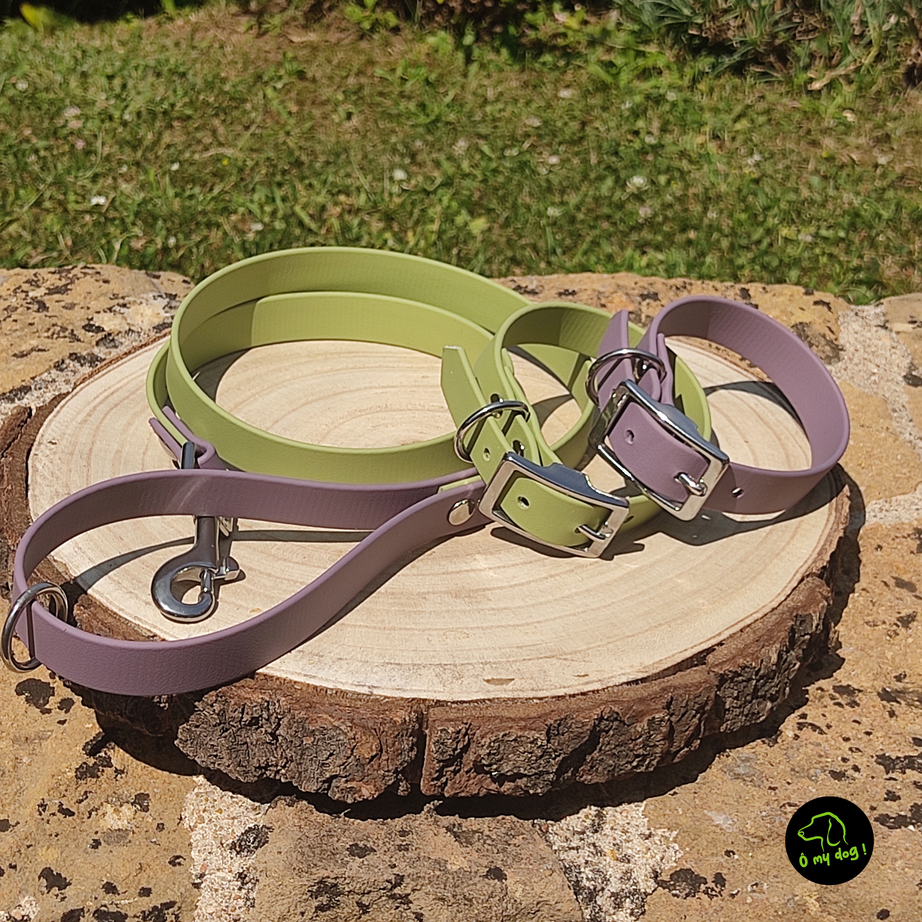 Laisse Bicolore Marvelous Mauve & Guacamole