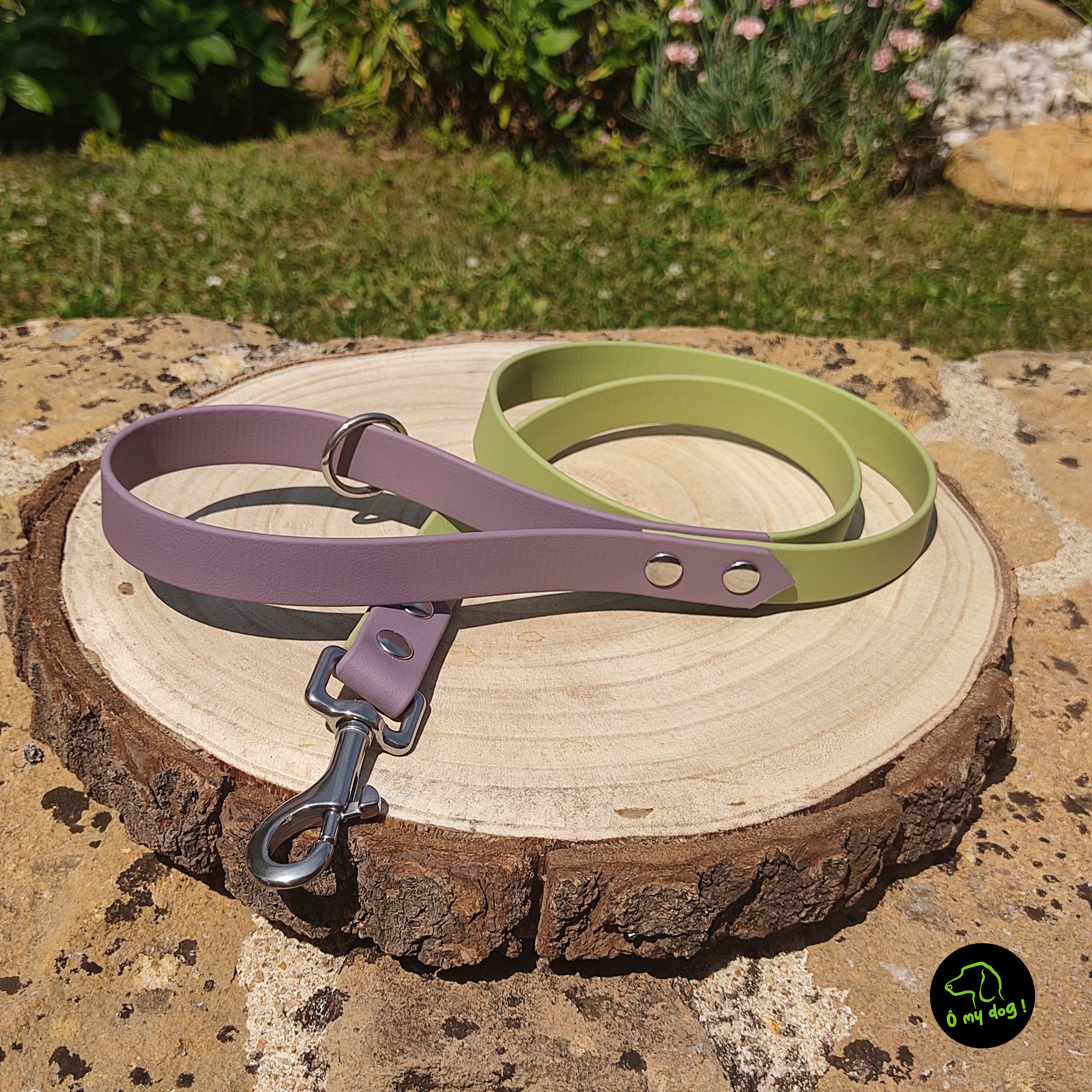 Laisse Bicolore Marvelous Mauve & Guacamole