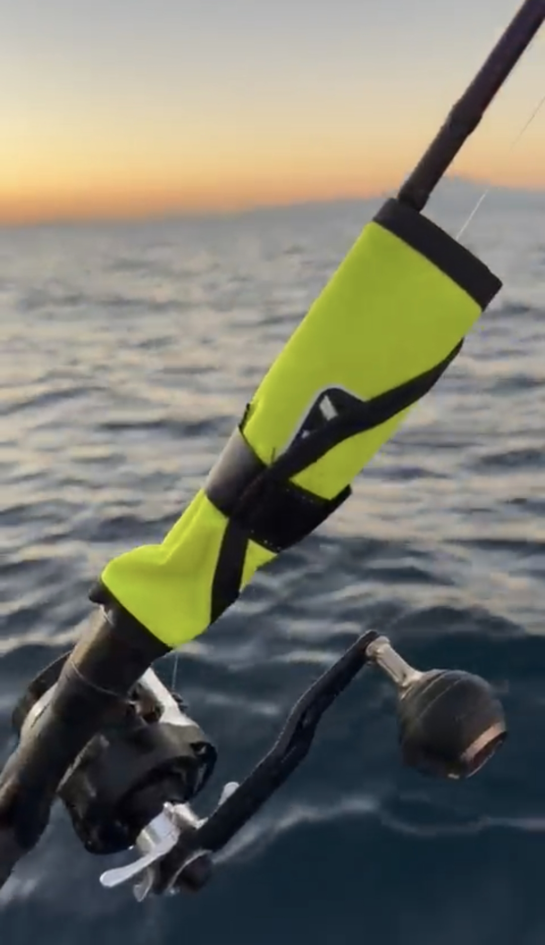 Protector para Señuelo