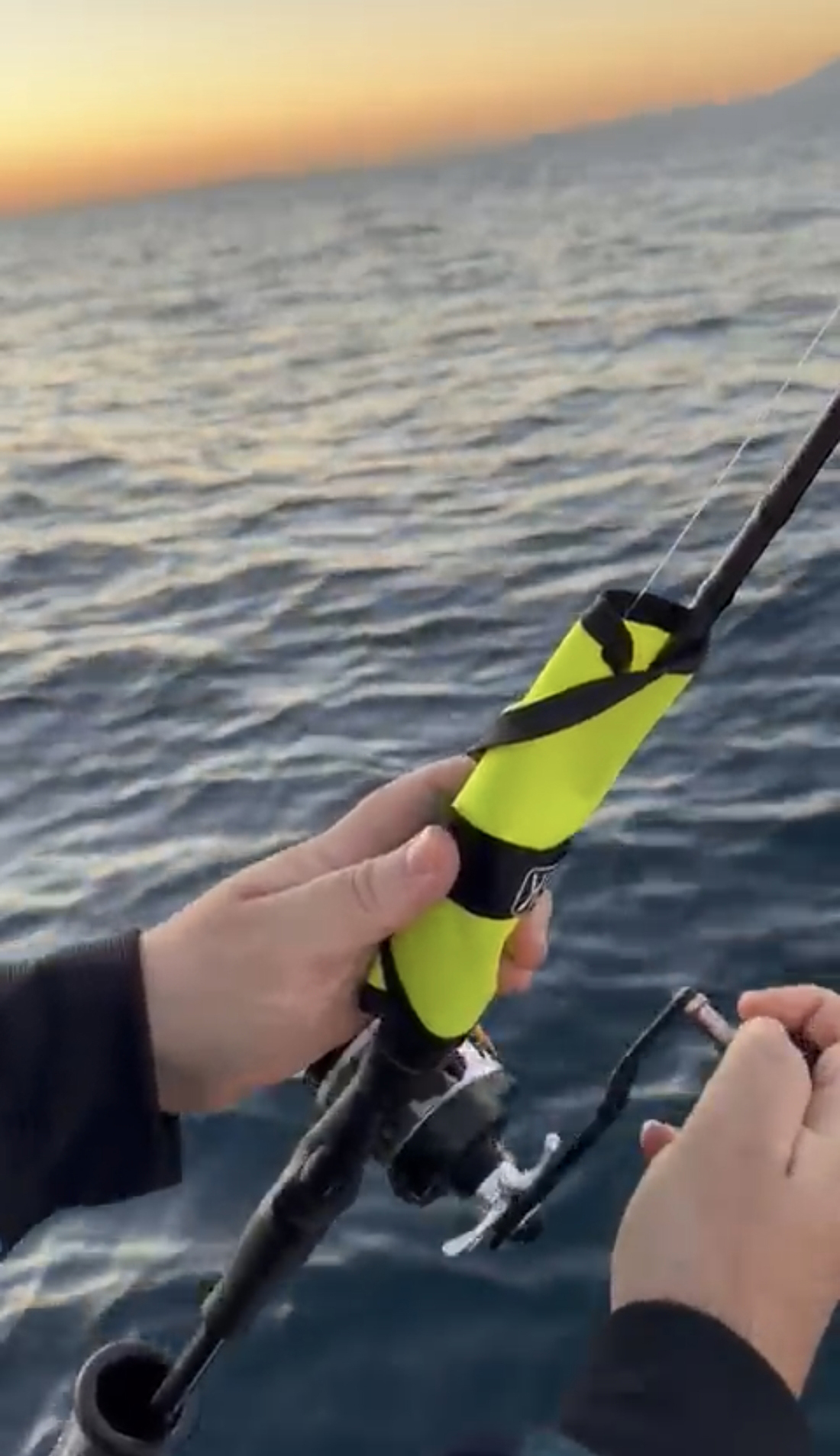 Protector para Señuelo