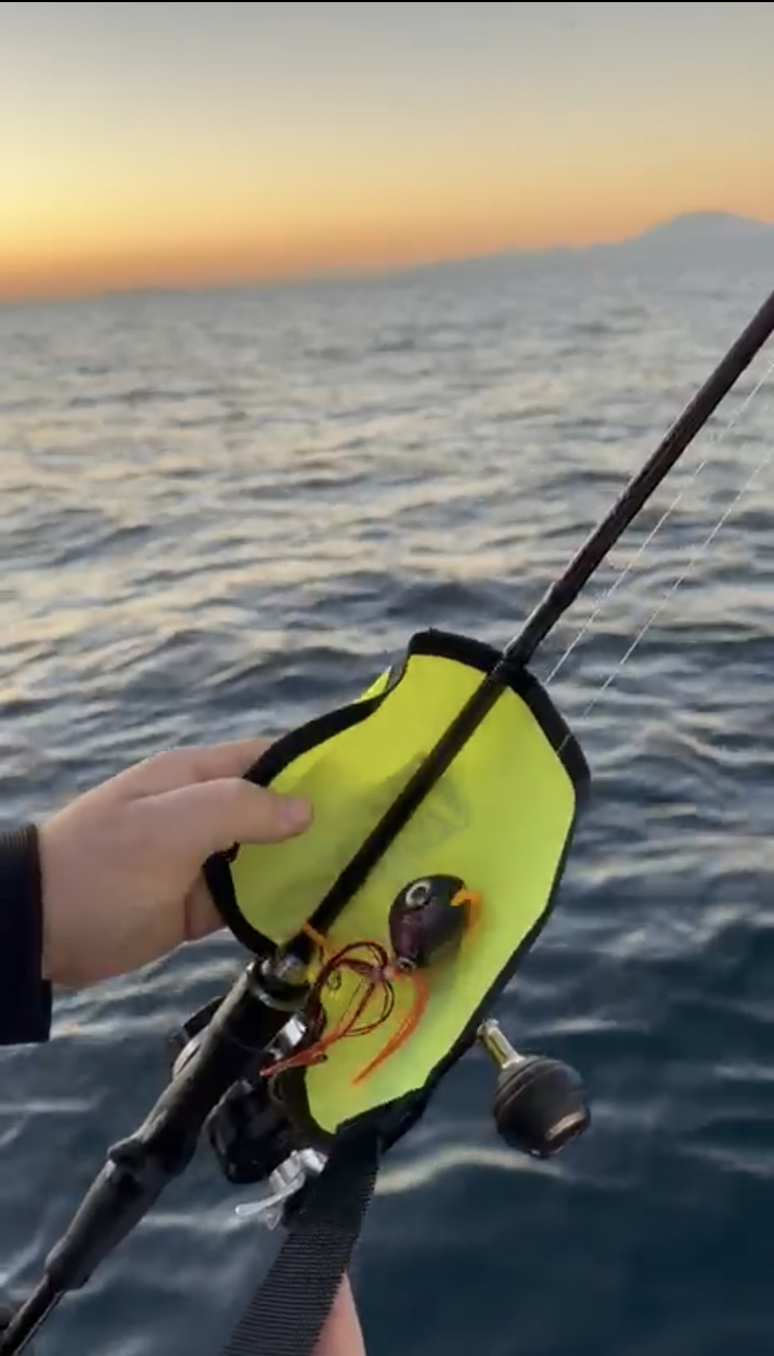 Protector para Señuelo