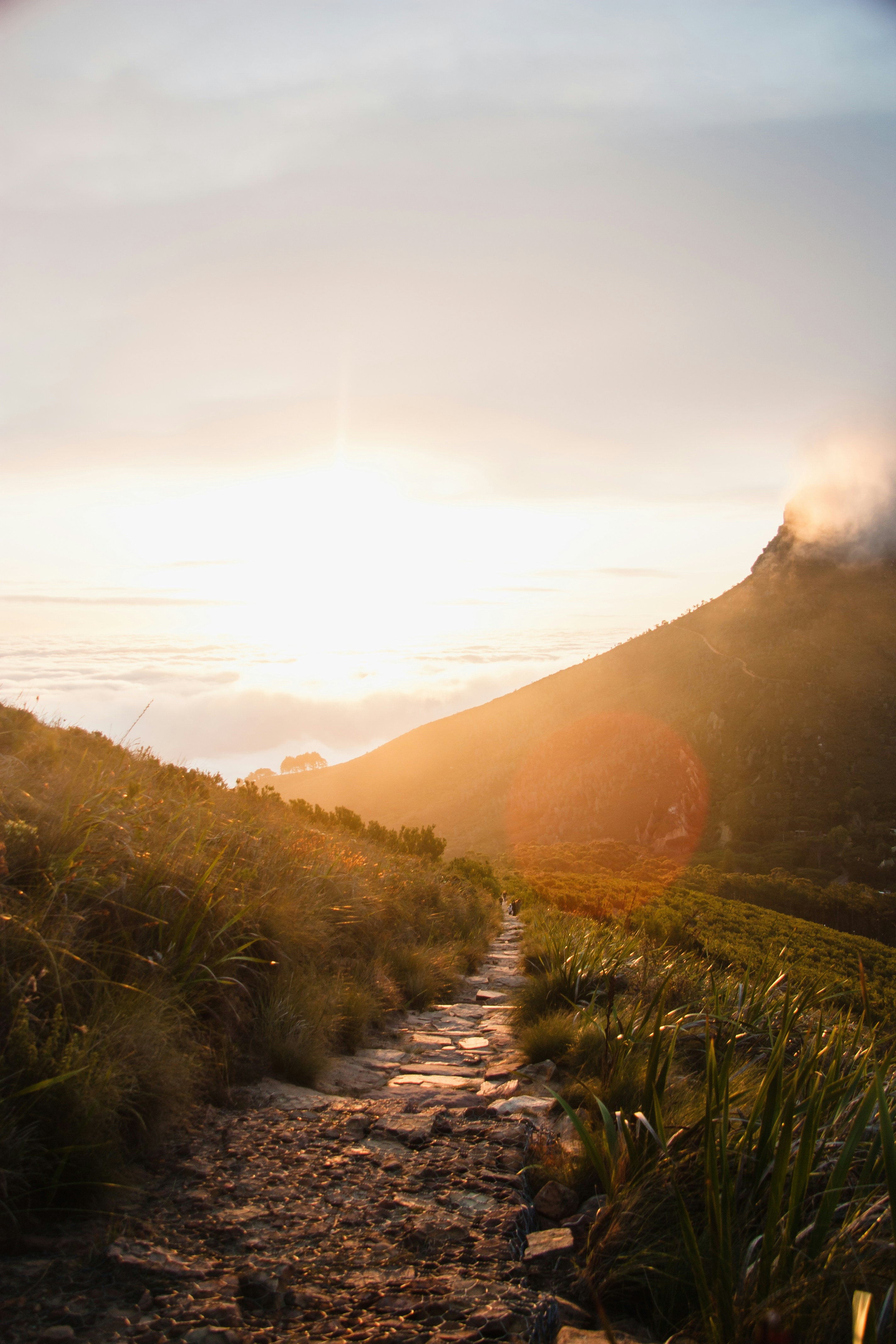 Pathway To Purpose - Signature Coaching Package