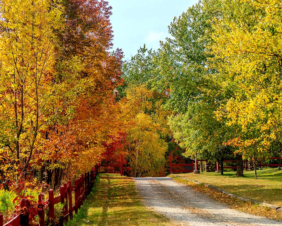 Autumn Gallery a 1 Entrance