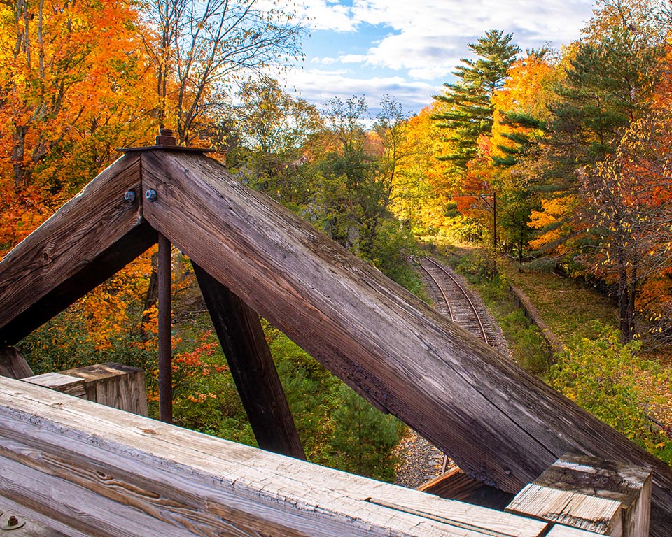 Autumn Gallery c 3 Tresle