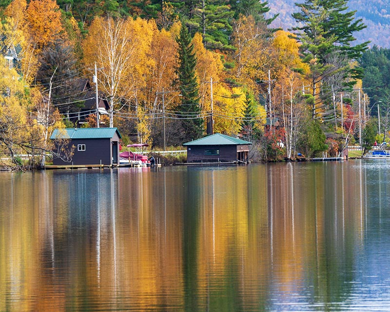 Autumn Gallery l 12 Orange Reflecting the Shore