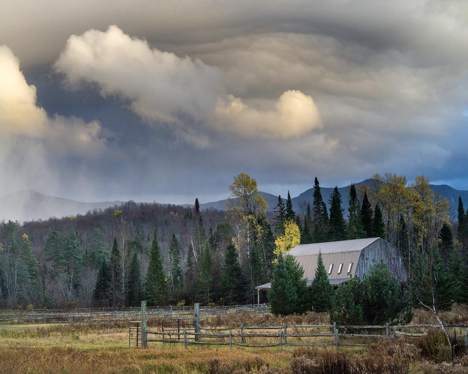 Autumn Gallery p 16 Bernadette's Farm