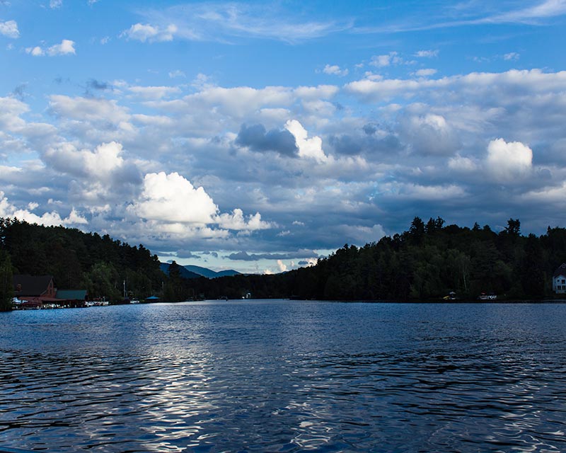 Blues Gallery 20 Lake Flower Blue in July