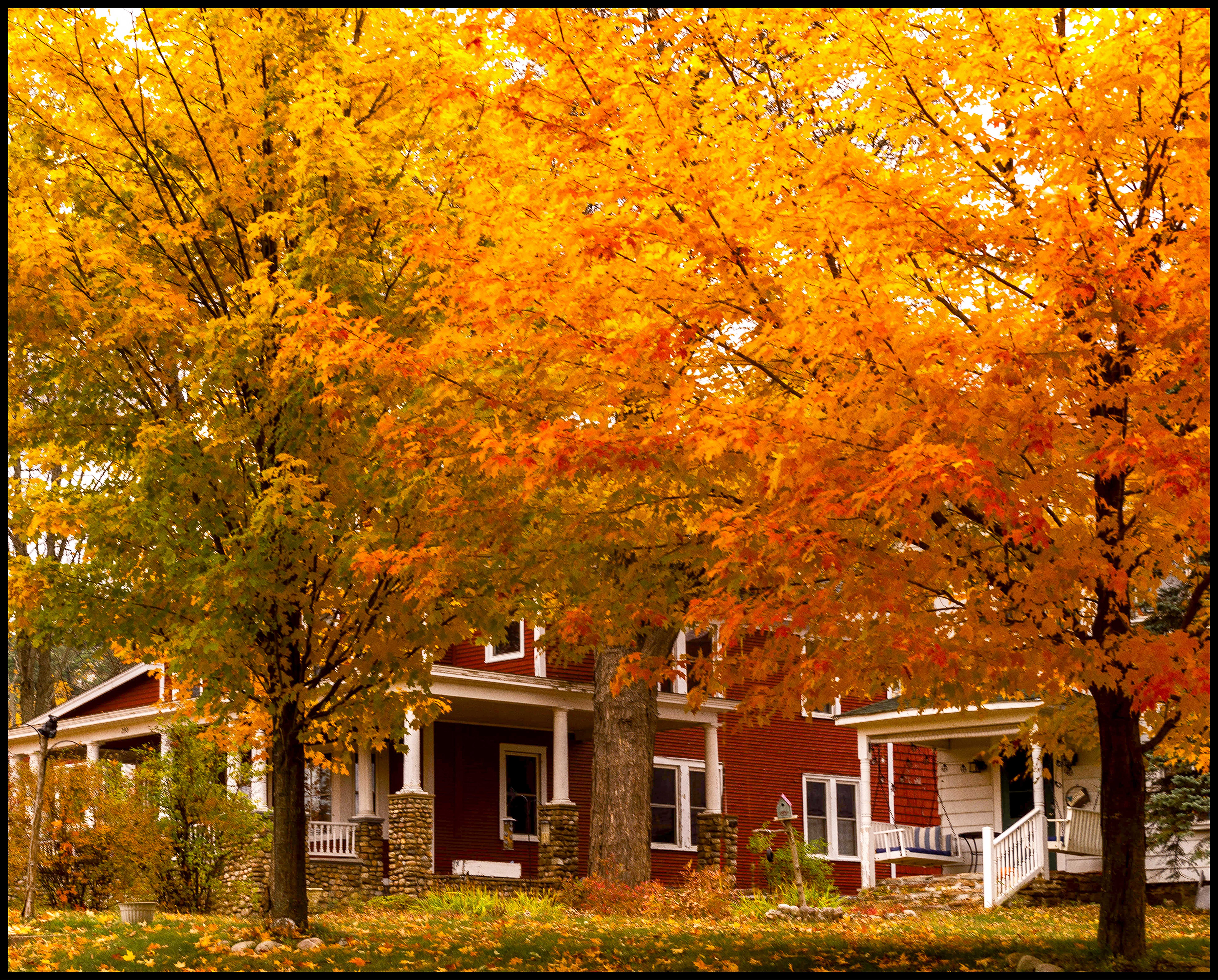 Autumn Gallery - 10 - Red House