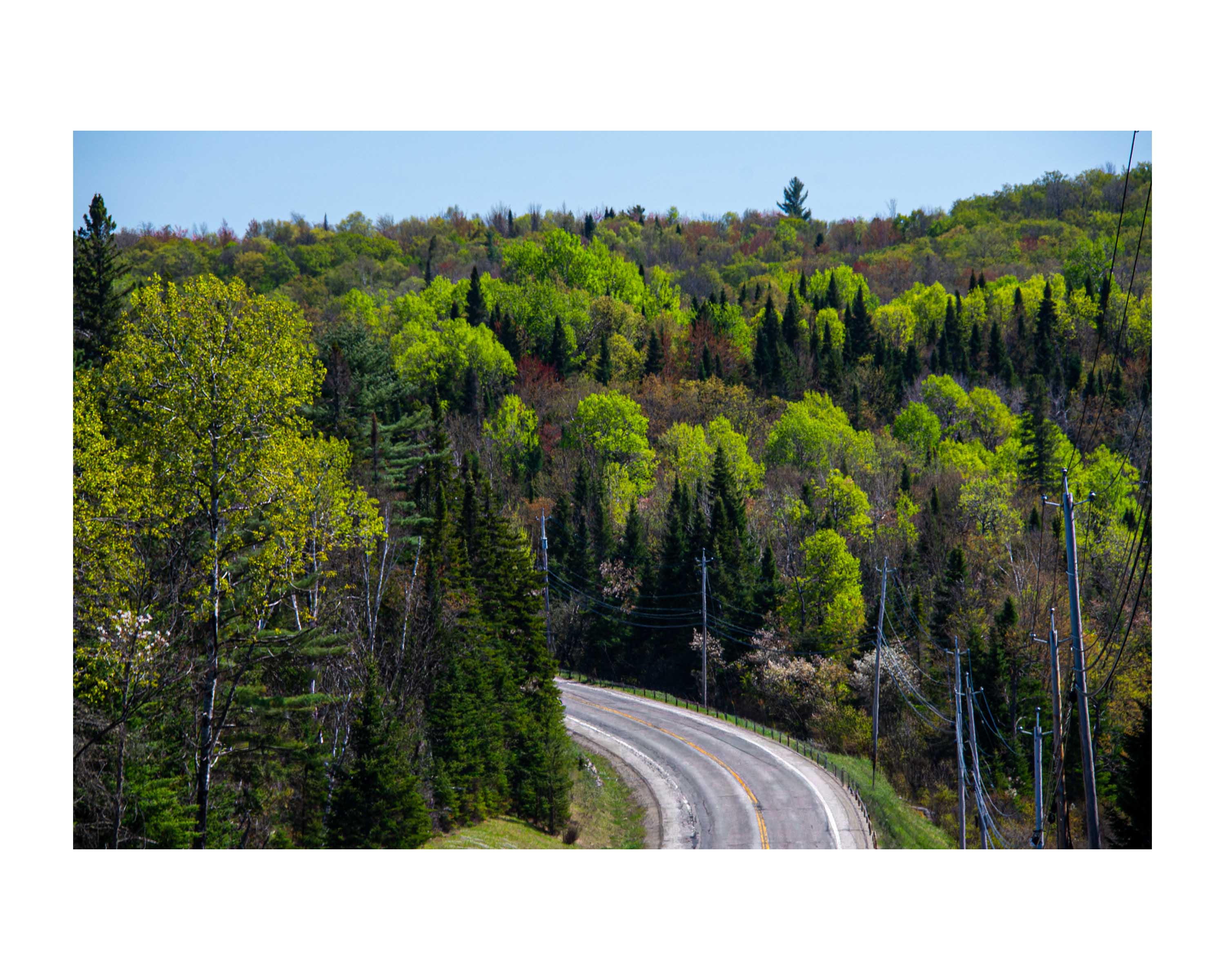 Arrival of Spring -c3-