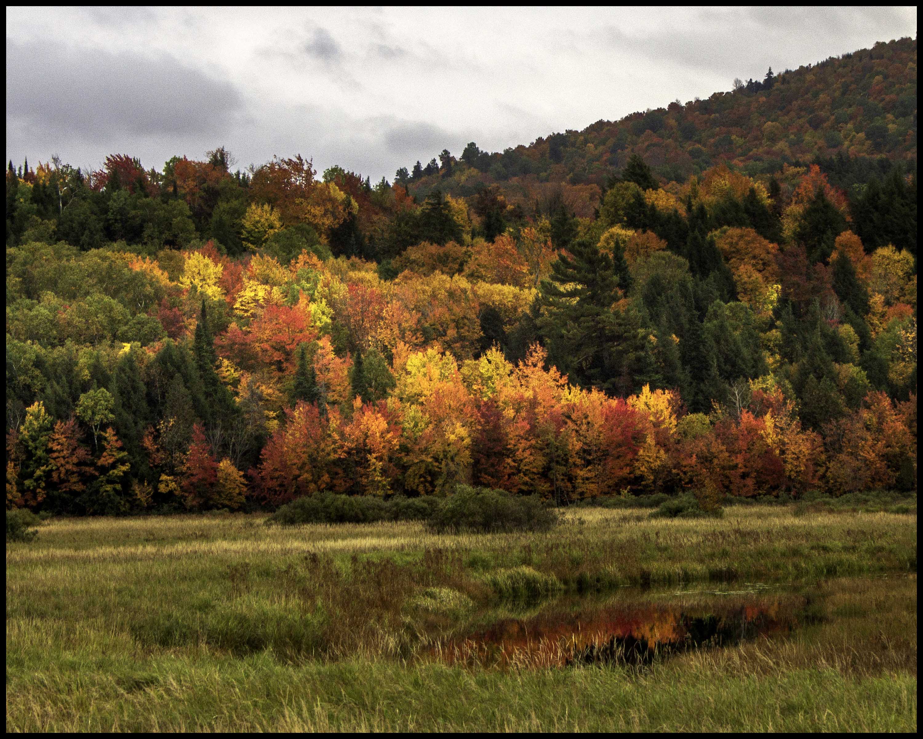 Autumn Gallery - 4 - Vista