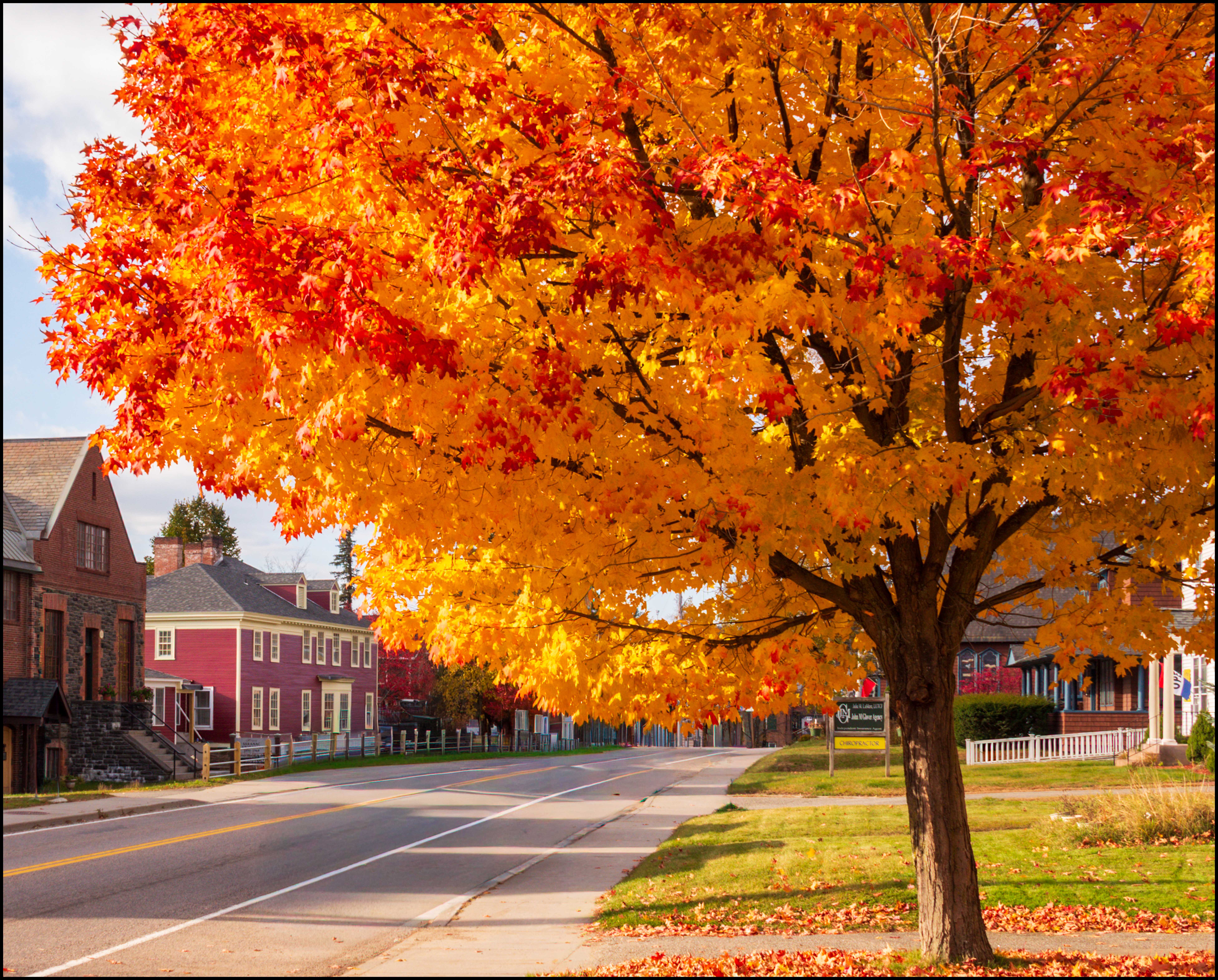 Autumn Gallery - m13 - History