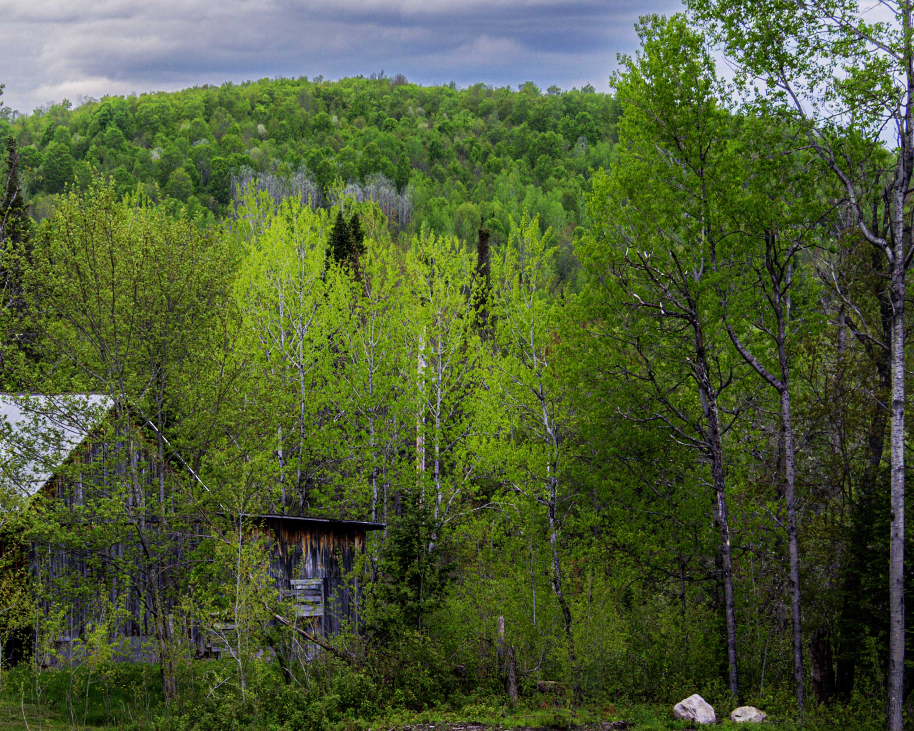 Arrival of Spring -f6-