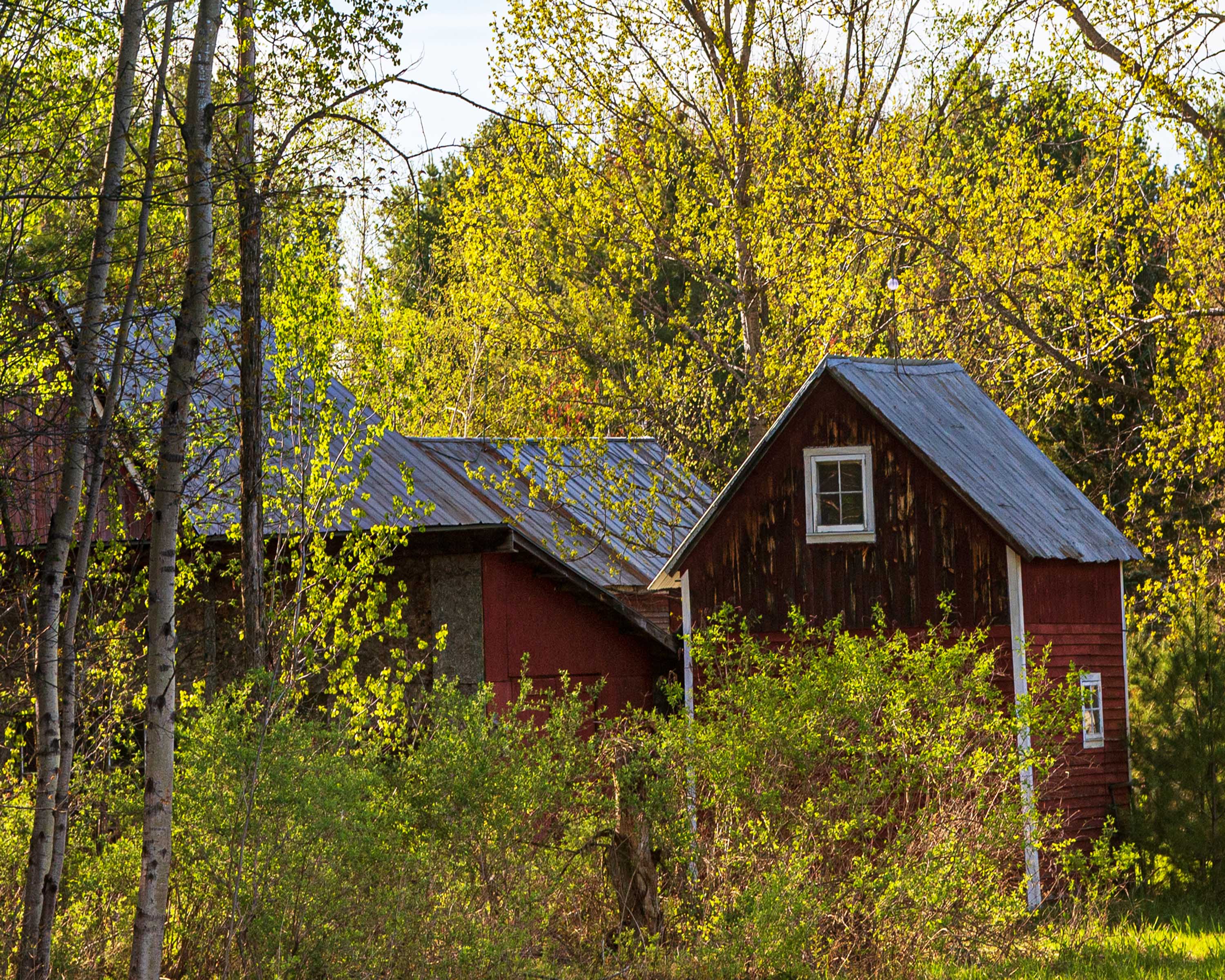 Arrival of Spring -k12-