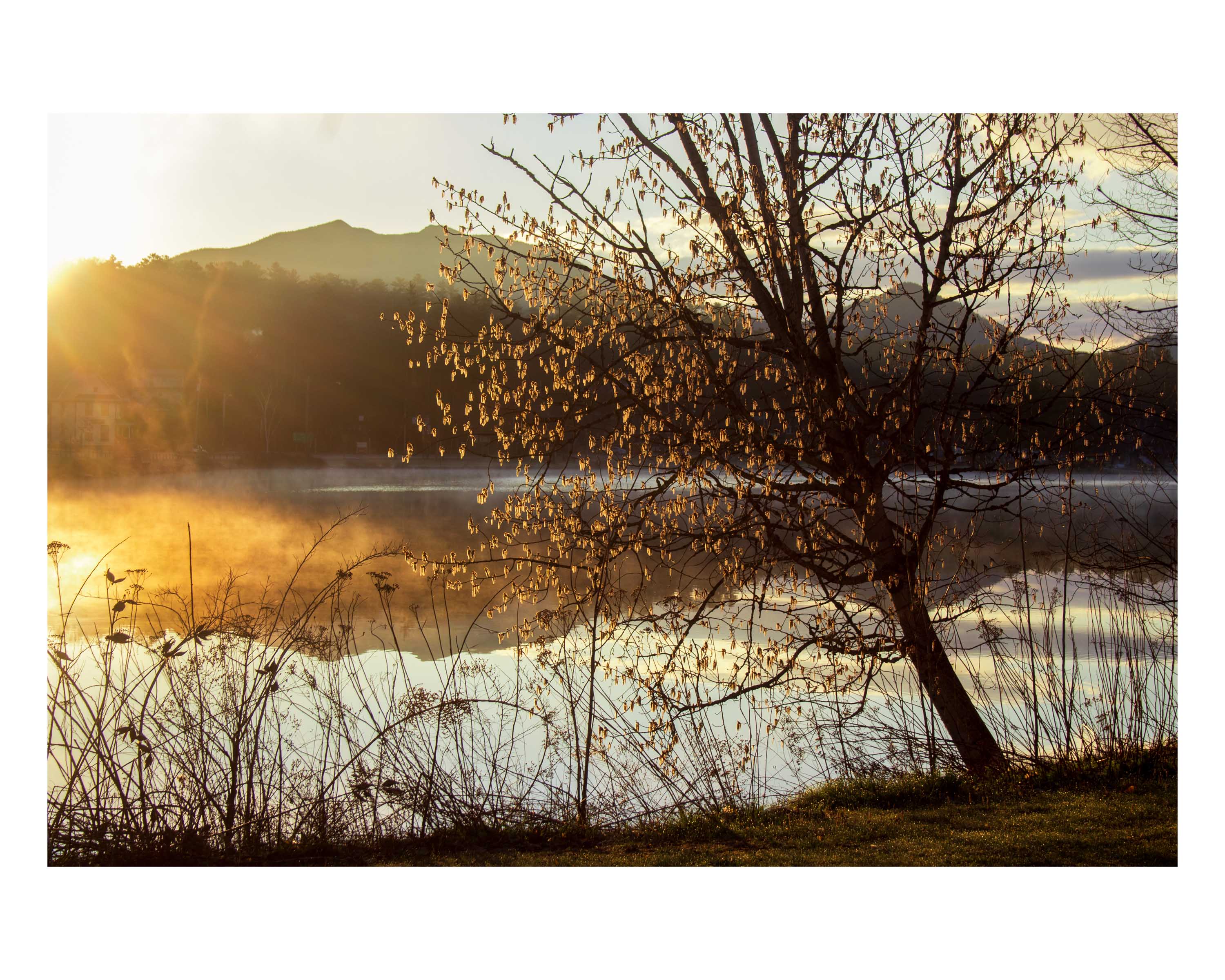 Arrival of Spring -w23-