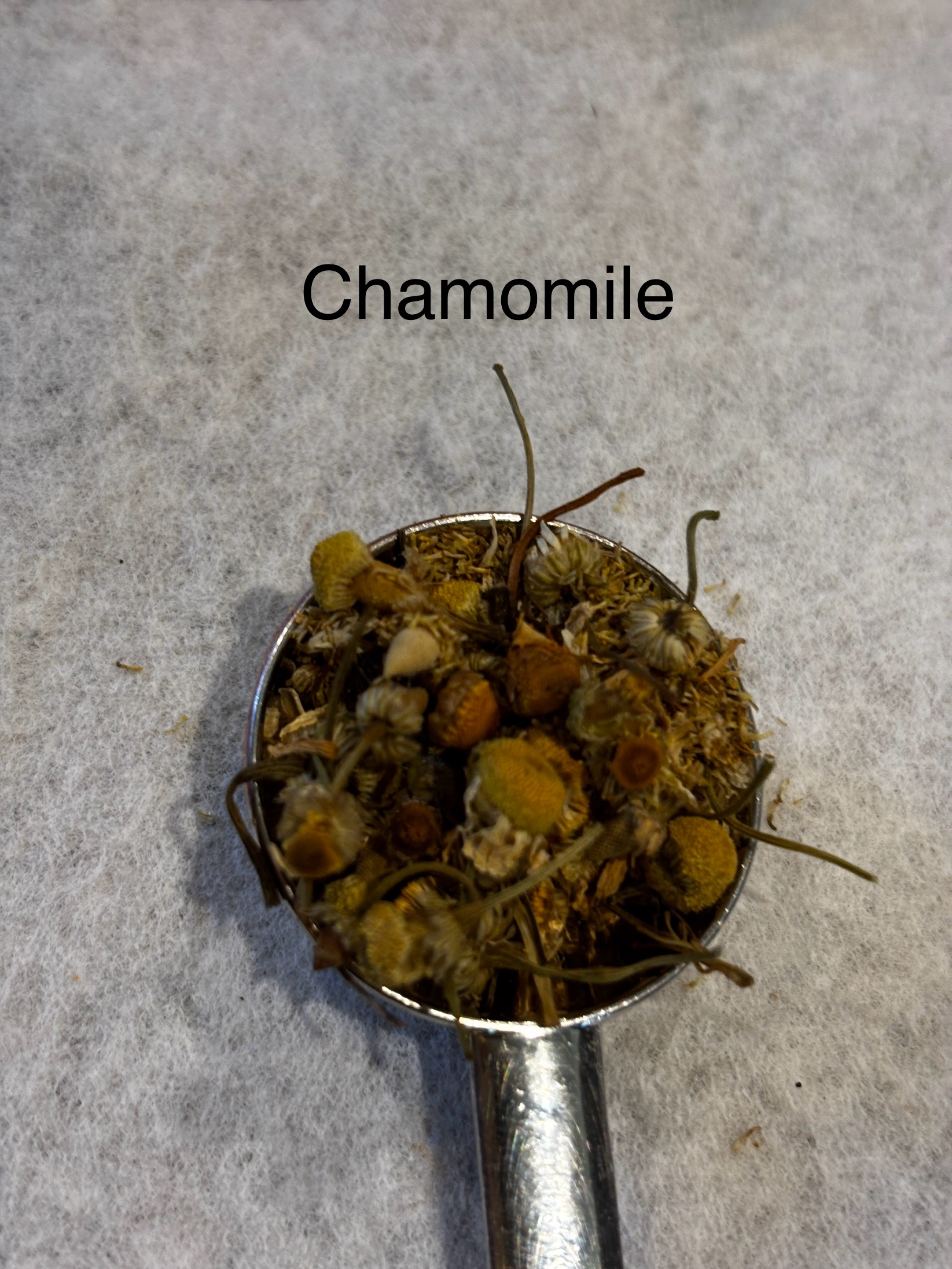 Witch's Rest Tea (single tea bag or 7 teabags)