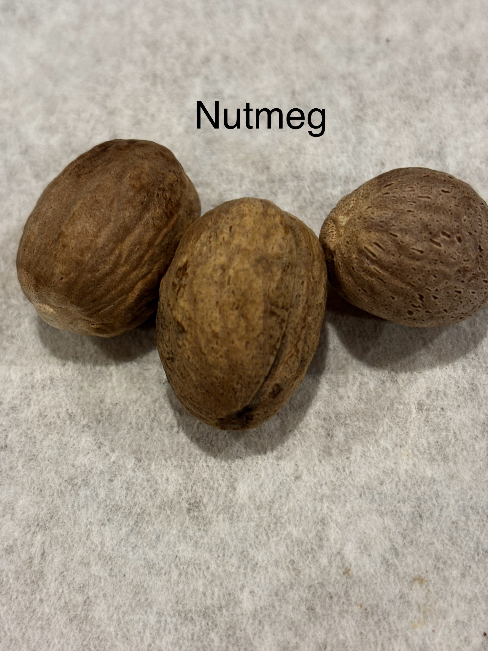 Plum "Goody" Tea with or without caffeine.  (single bag or pack of 7)