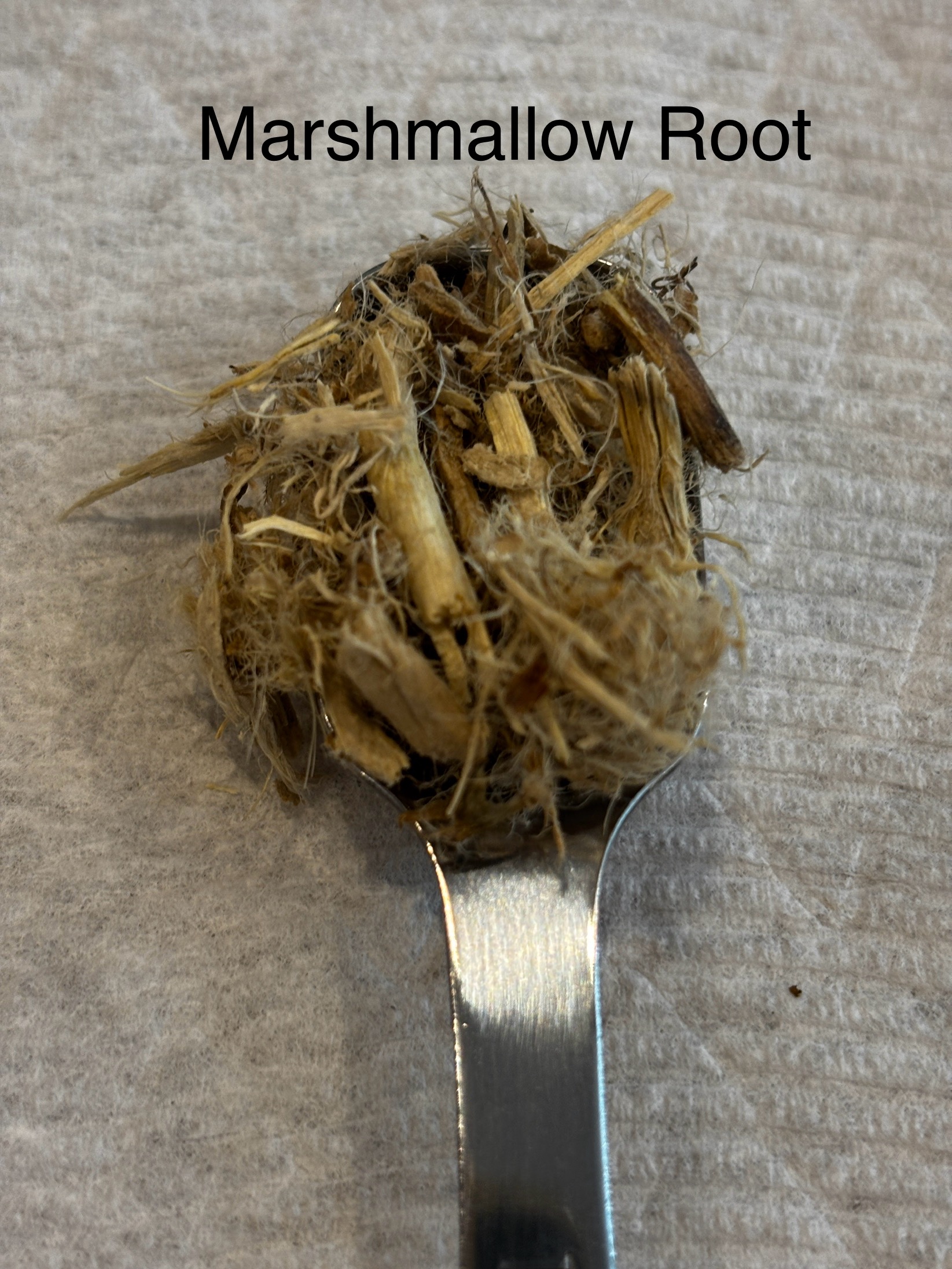 Breath of the Ancients Upper Respiratory Tea (single tea bag or pack of 7)