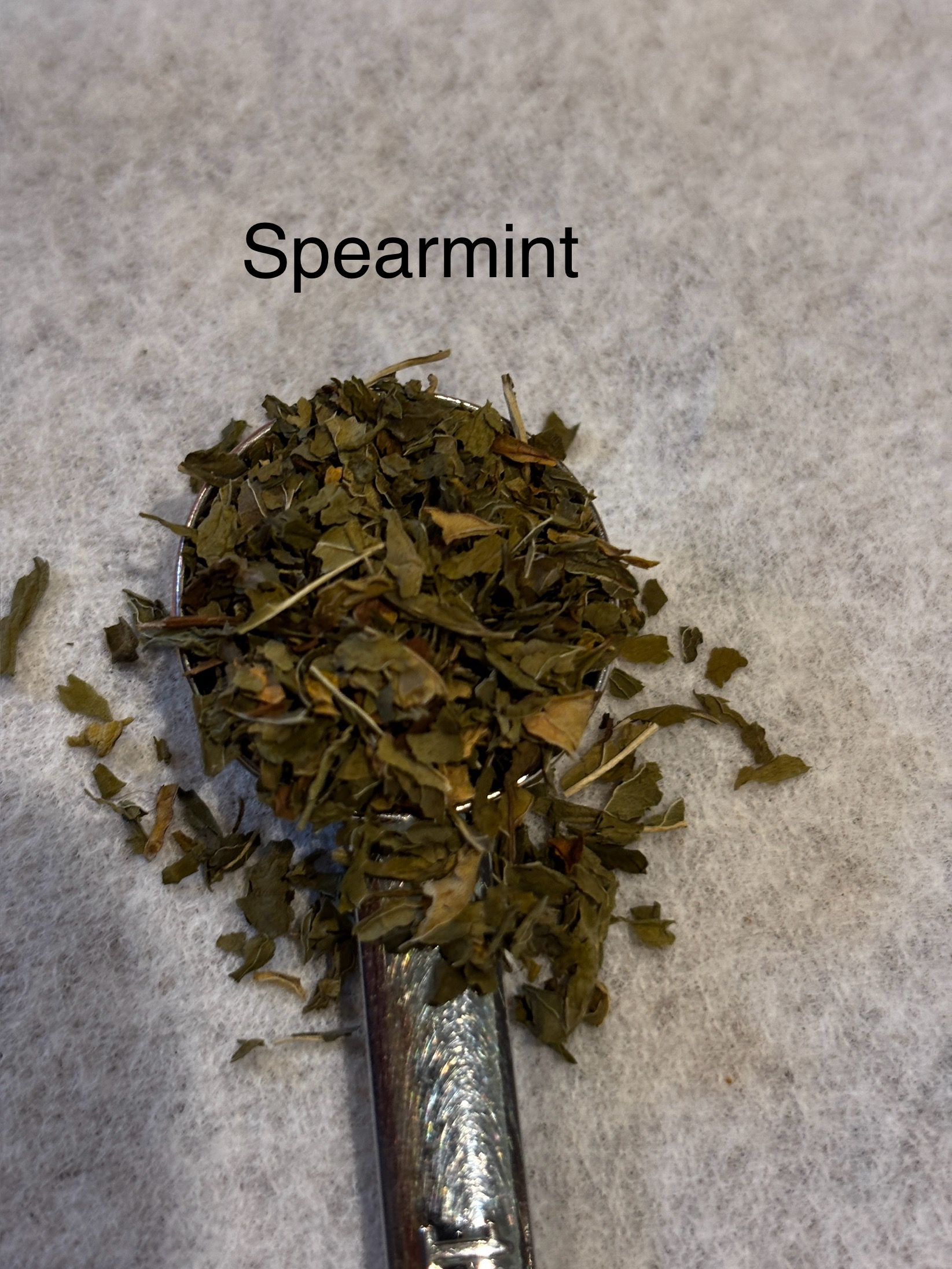 Unbinding Brew (single tea bag or pack of 7)