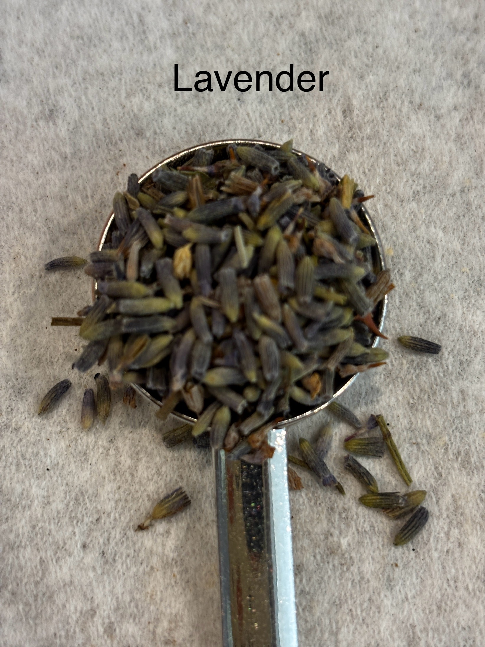 Witch's Rest Tea (single tea bag or 7 teabags)