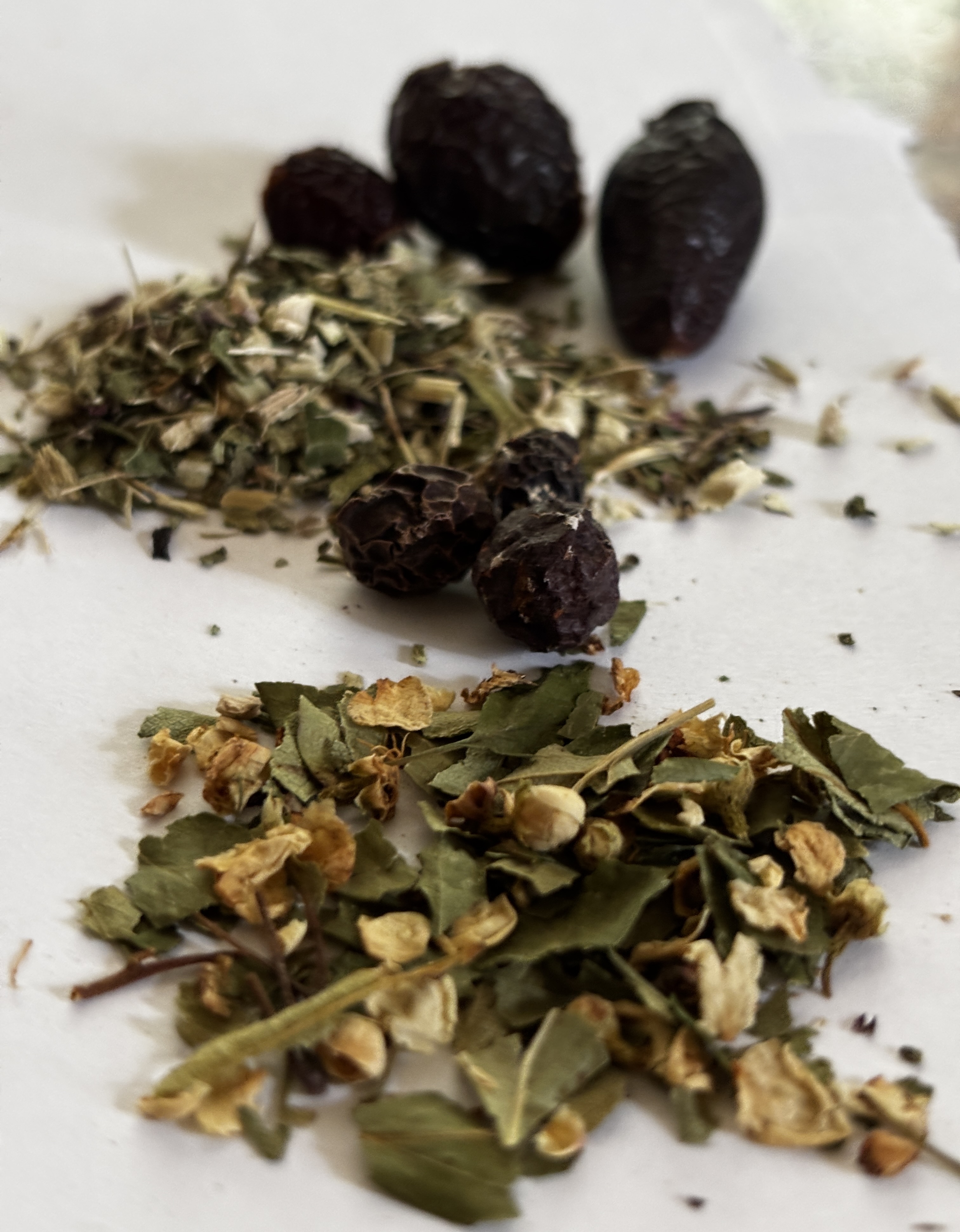 Potion of Protection Immune Support Tea (single bag or pack of 7)