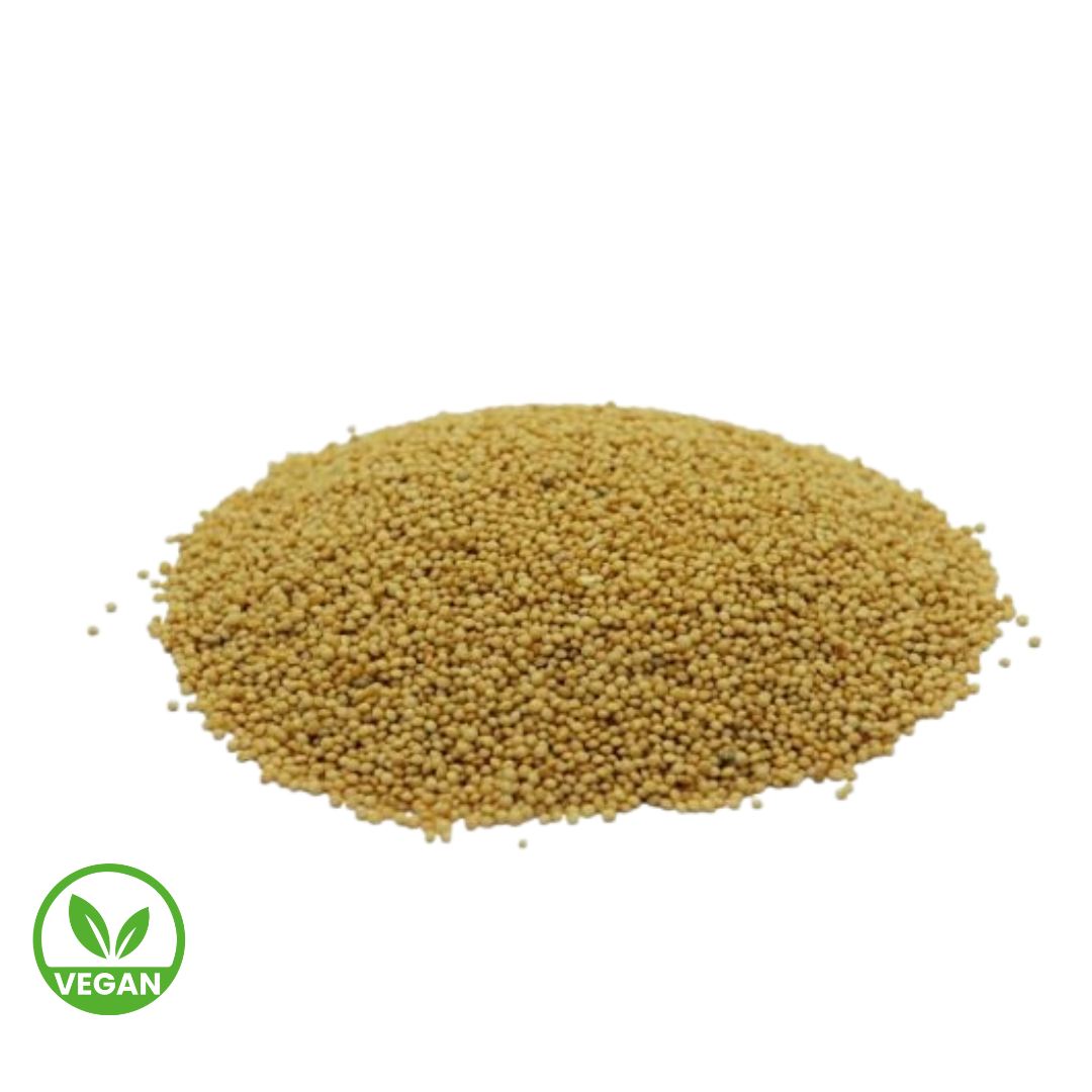 Semilla de Amaranto x 100gr - A granel
