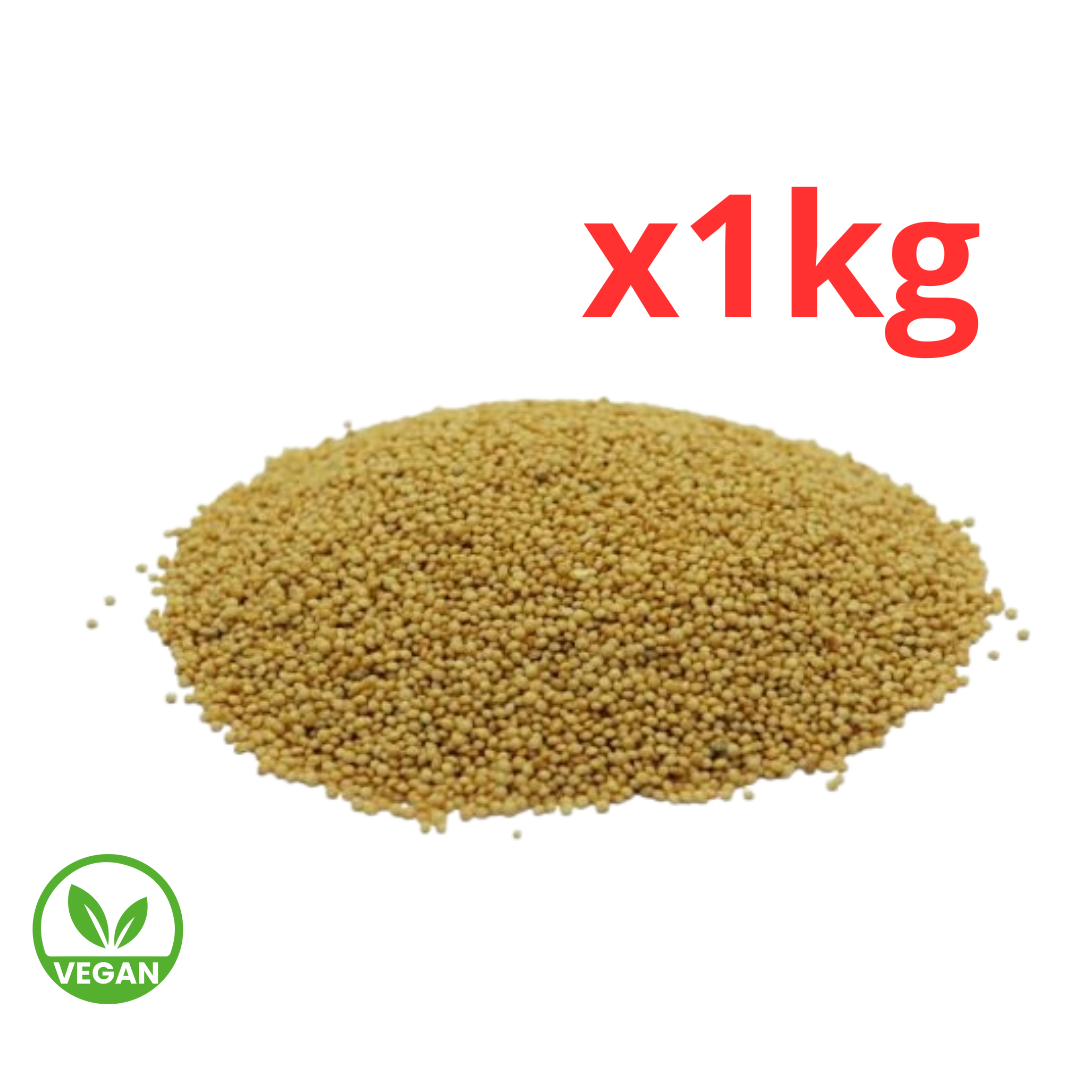 Semillas de Amaranto x 1kg - A granel