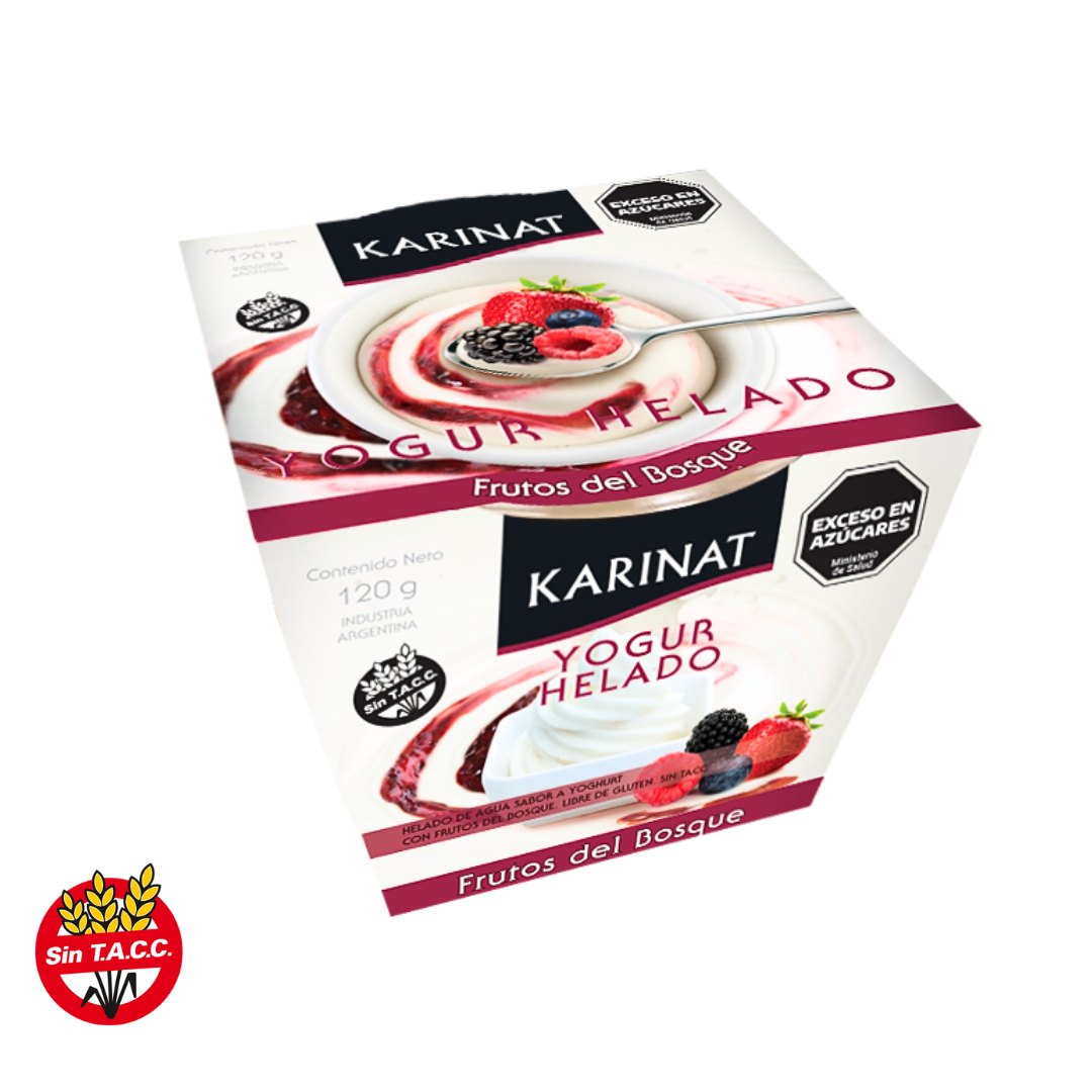 Yogurth Helado Frutos del Bosque x 120g - Karinat