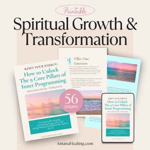 Reset Your Energy: How to Unlock The 9 Core Pillars of Inner Programming