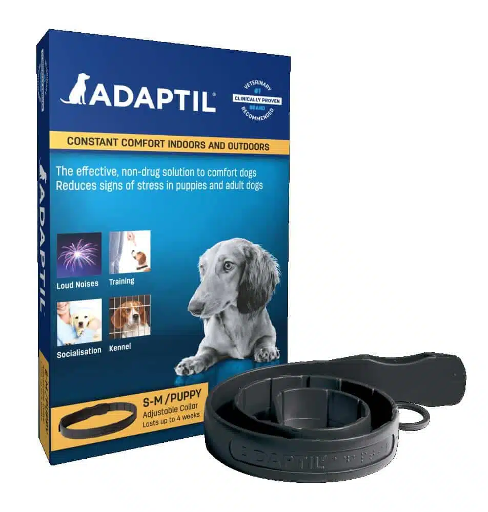 ADAPTIL COLLAR