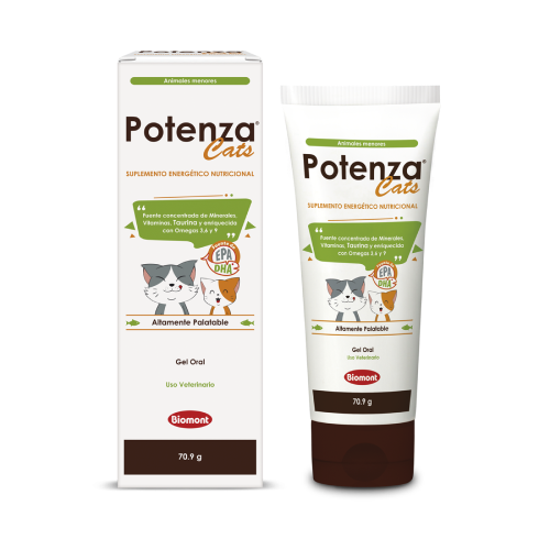 POTENZA CATS