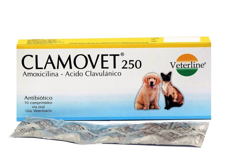 CLAMOVET