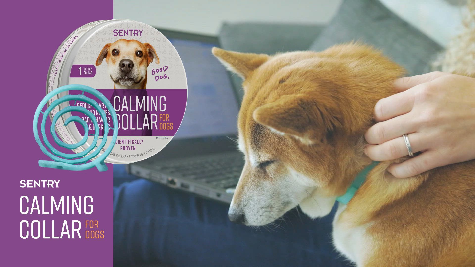 SENTRY CALMING COLLAR DOG