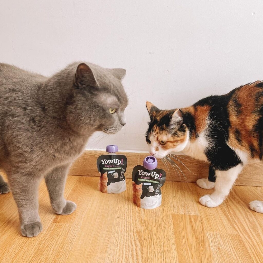 YOWUP PREBIOTICO GATO