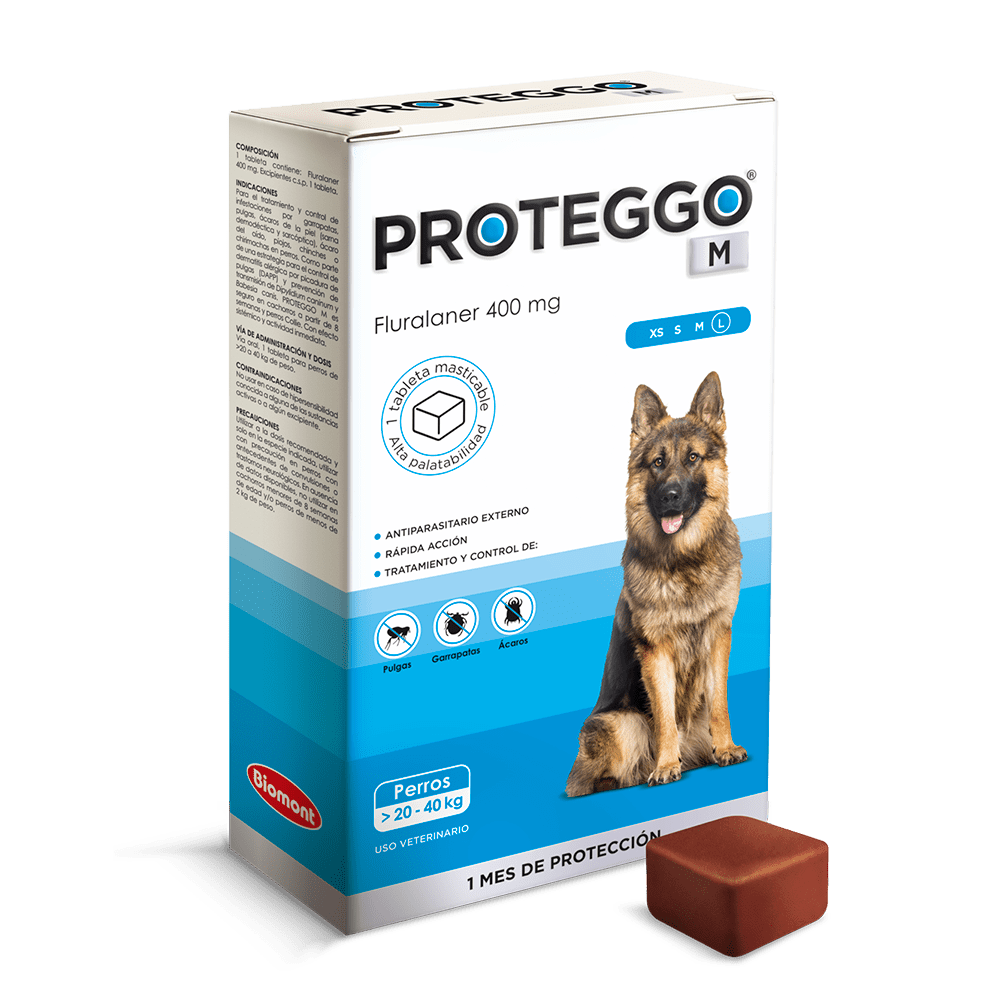 PROTEGGO 20-40 KG