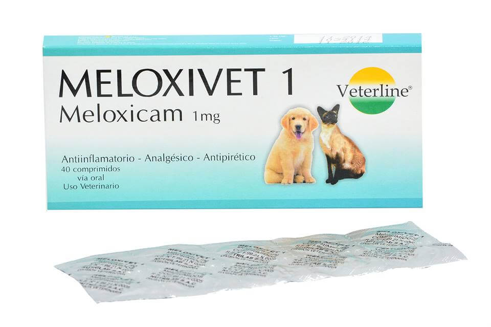 MELOXIVET 1