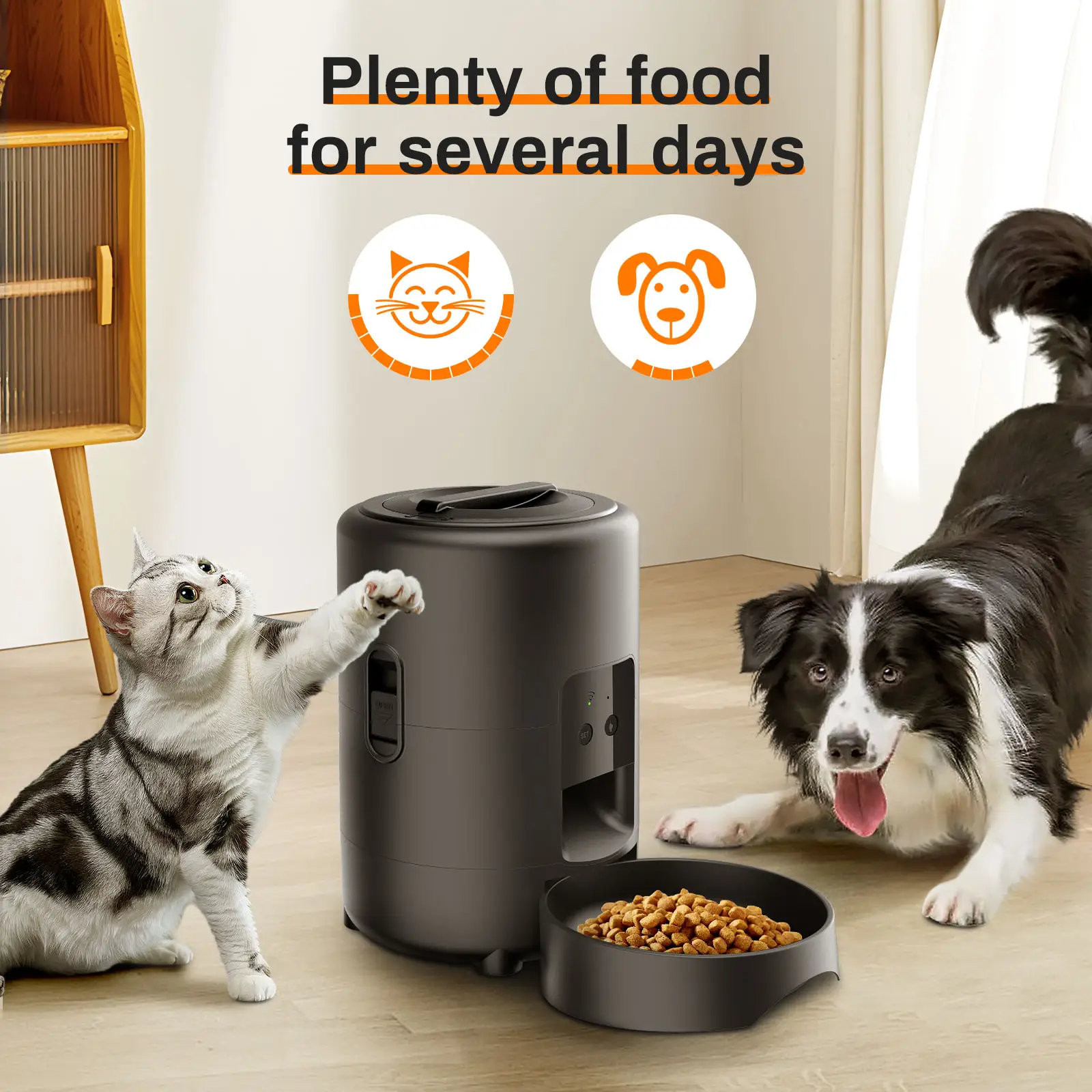 2L Automatic Feeder