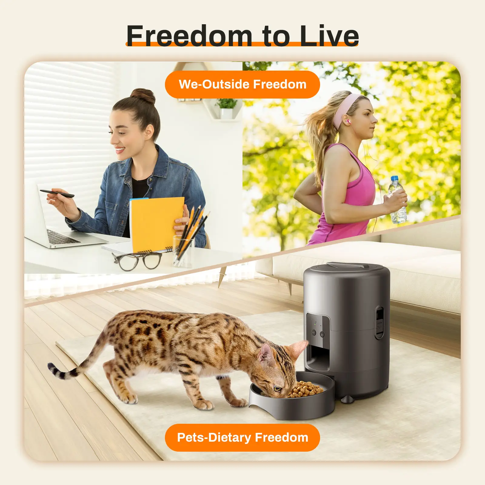 2L Automatic Feeder