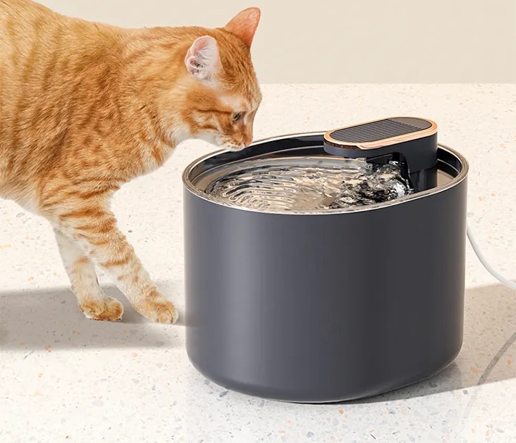 3L USB Automatischer Futterspender