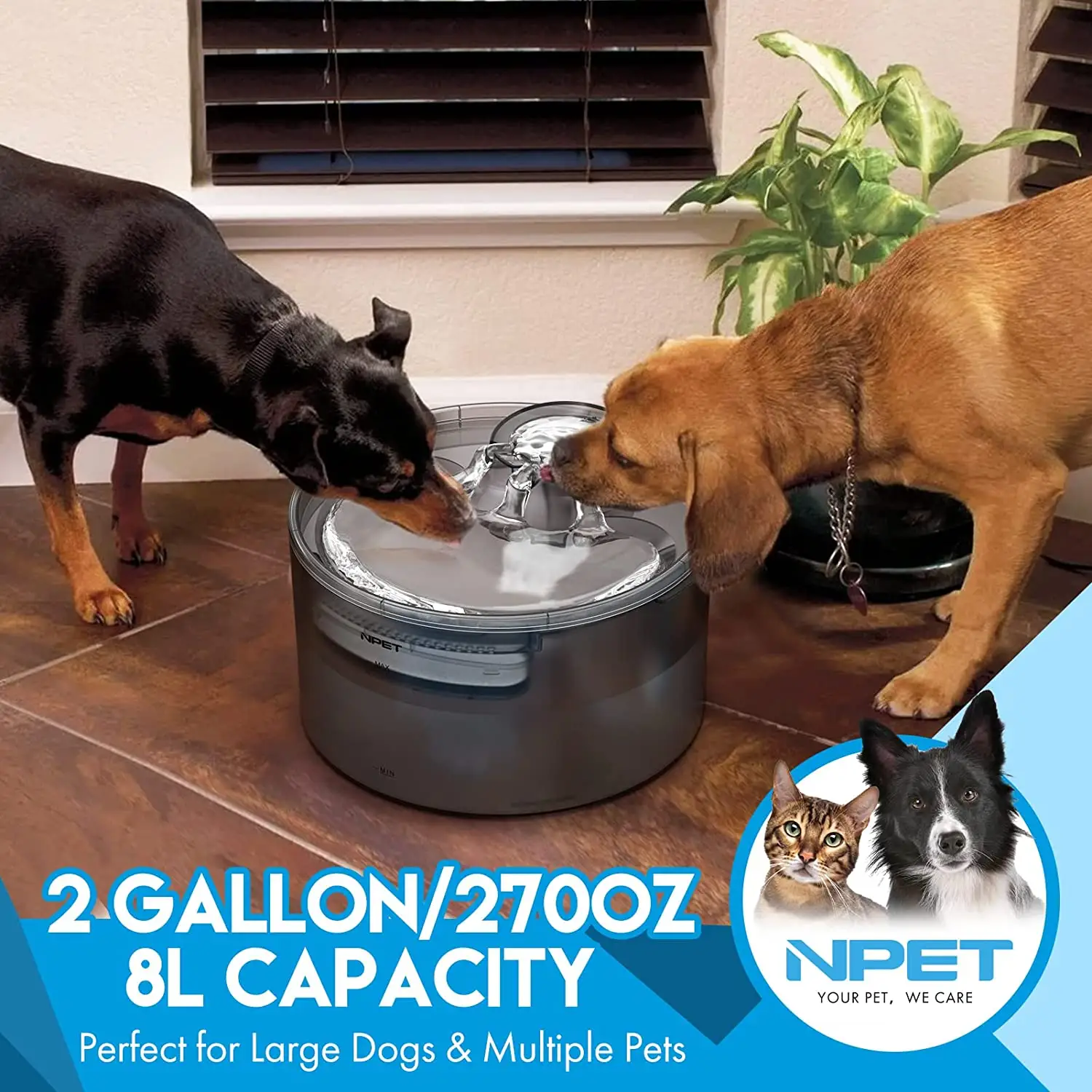 8L Automatic Pet Water Fountain with Splash Guard