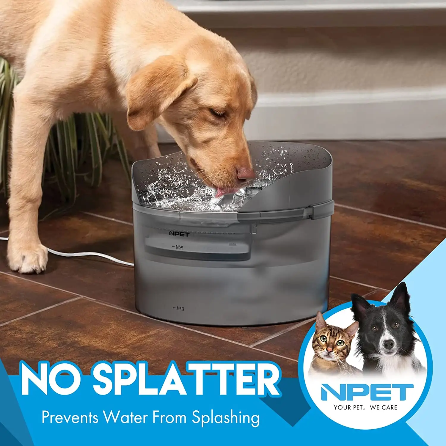 8L Automatic Pet Water Fountain with Splash Guard