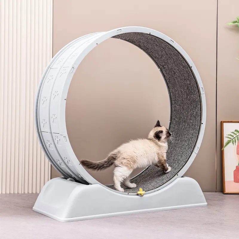 Interactive Cat Treadmill with Solar Power