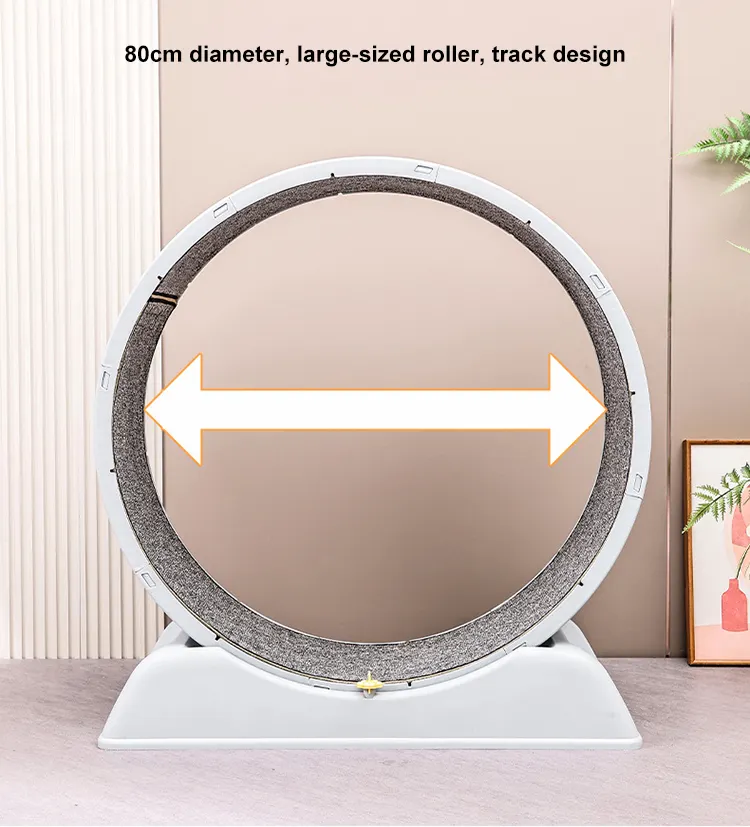 Interactive Cat Treadmill with Solar Power